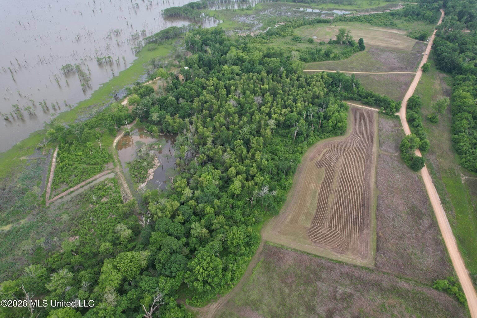 88 Acre Hunting Property – Wilkinson County, MS