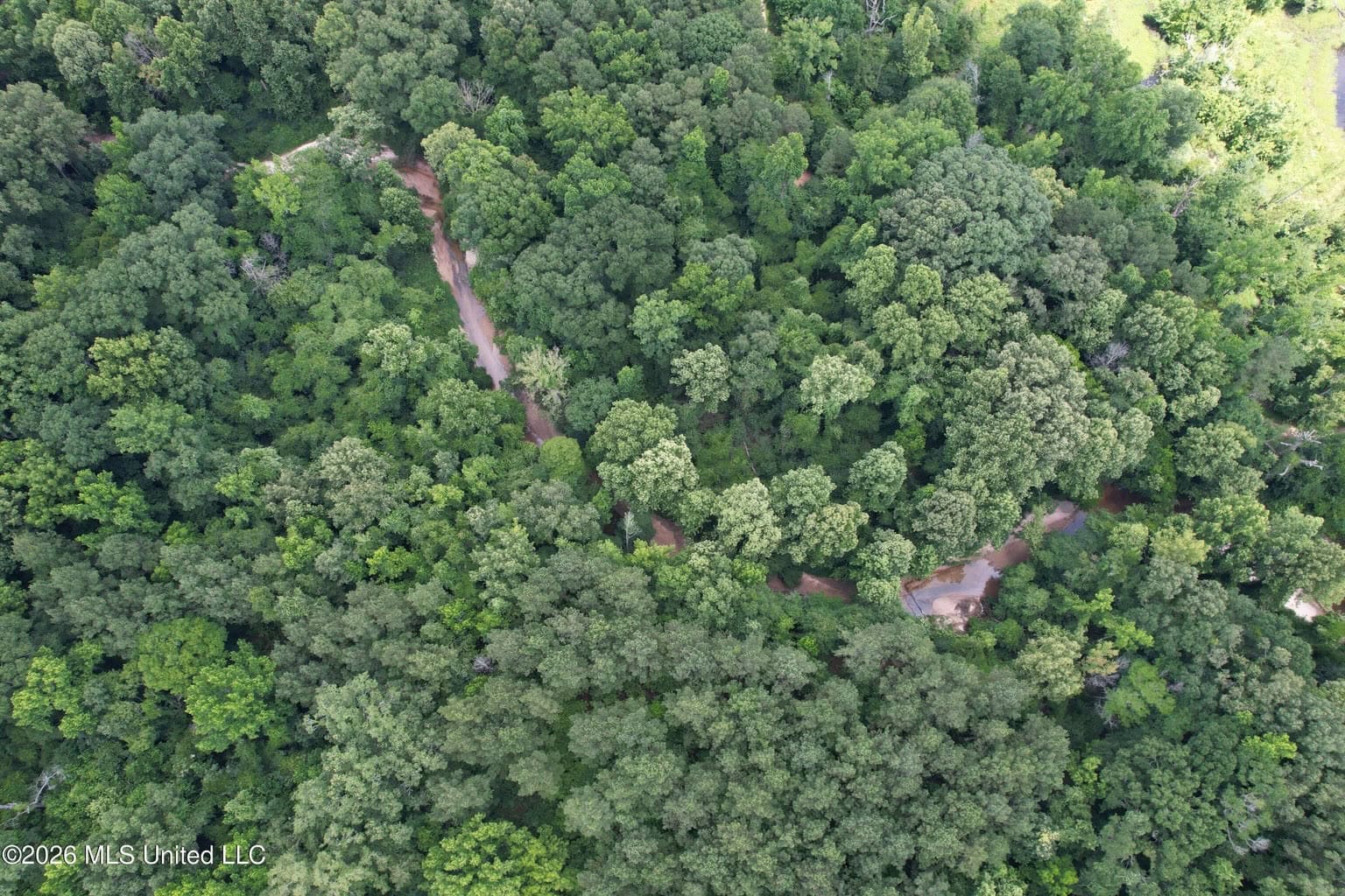44 Acre Hunting Land in Wilkinson County, MS