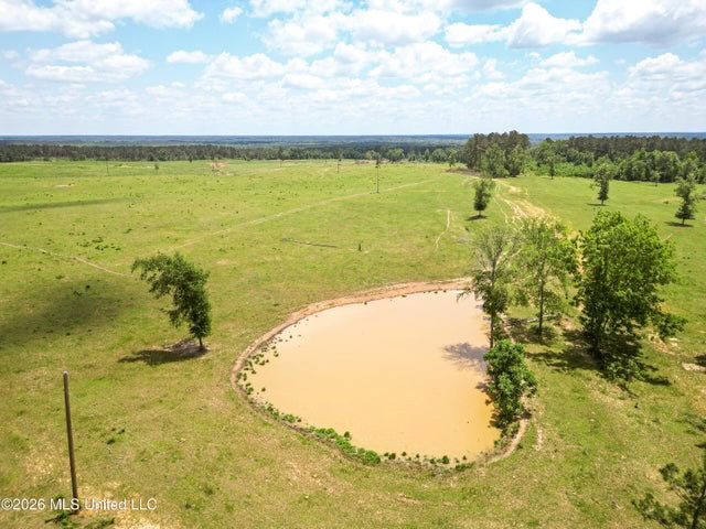 Pasture Land for Sale in Lincoln County, MS
