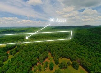 Missouri Ozarks Hunting Land Near Caney Mountain Conservation and Bull Shoals Lake