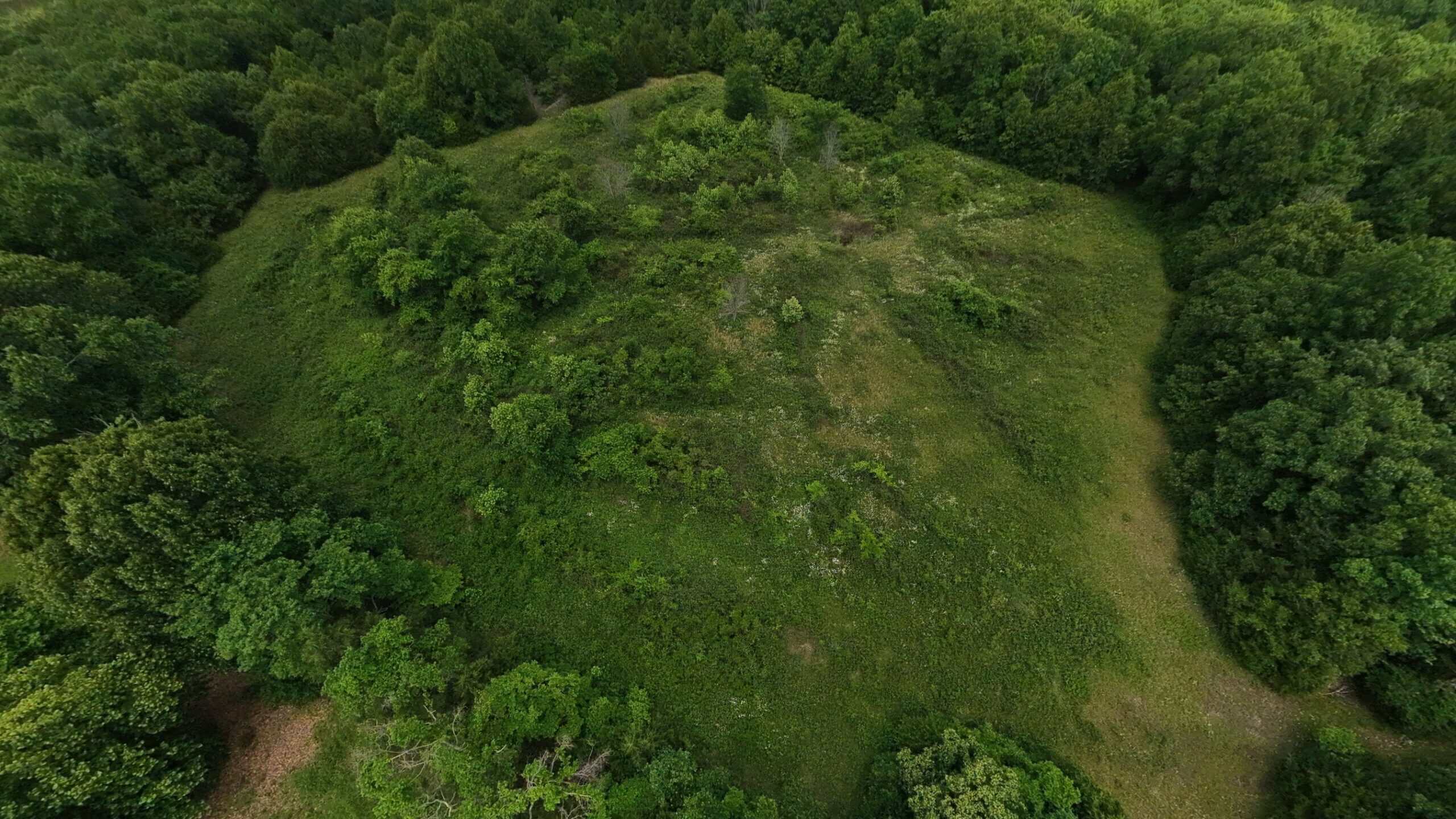 Missouri Ozarks Hunting Land Near Caney Mountain Conservation and Bull Shoals Lake