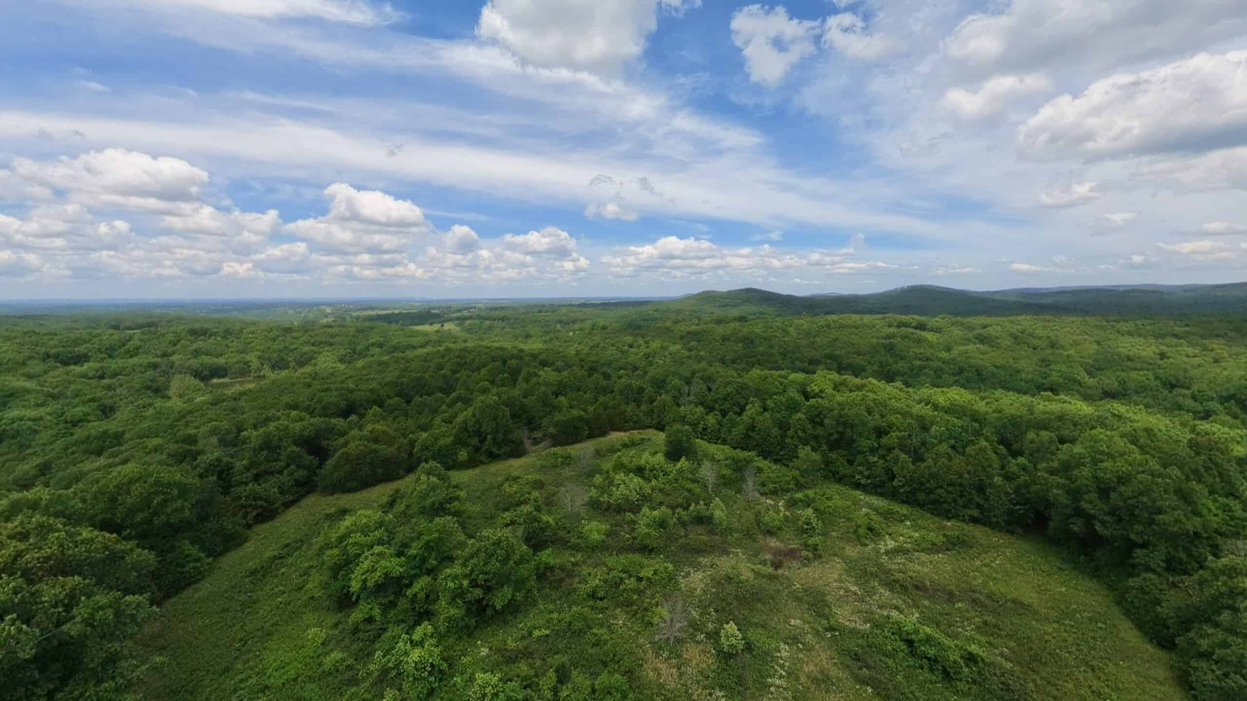 Missouri Ozarks Hunting Land Near Caney Mountain Conservation and Bull Shoals Lake