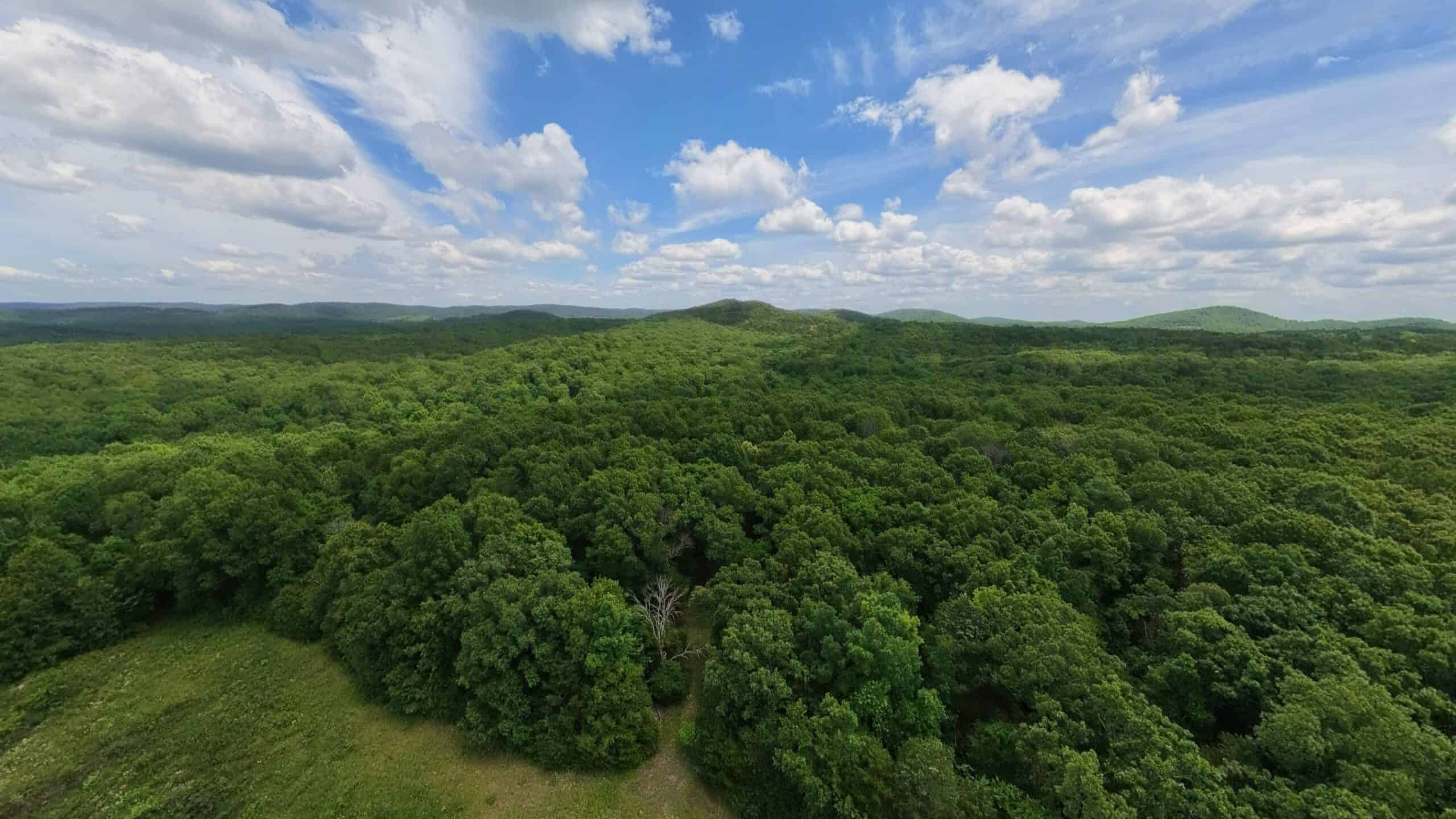Missouri Ozarks Hunting Land Near Caney Mountain Conservation and Bull Shoals Lake