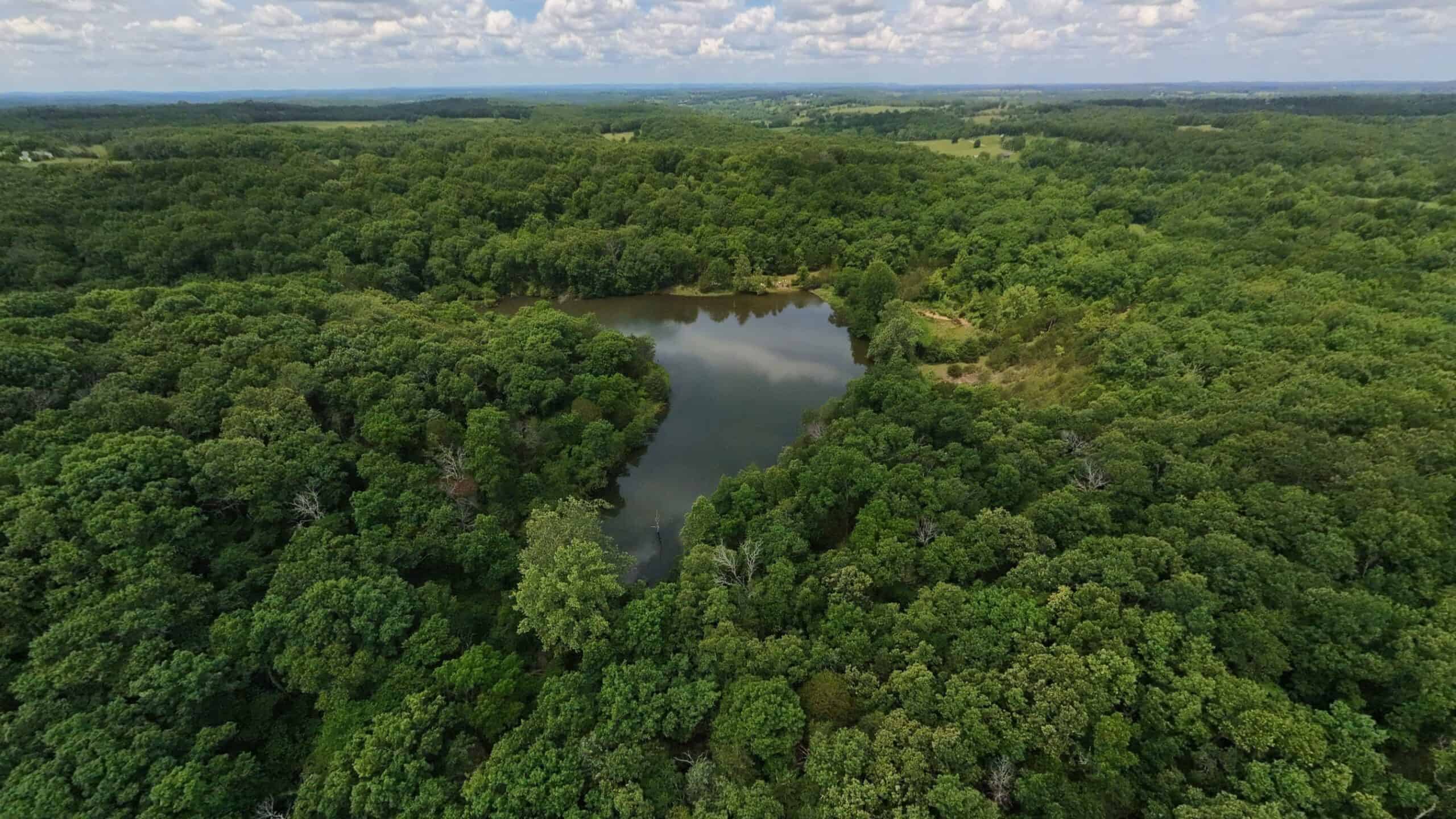 Missouri Ozarks Hunting Land Near Caney Mountain Conservation and Bull Shoals Lake