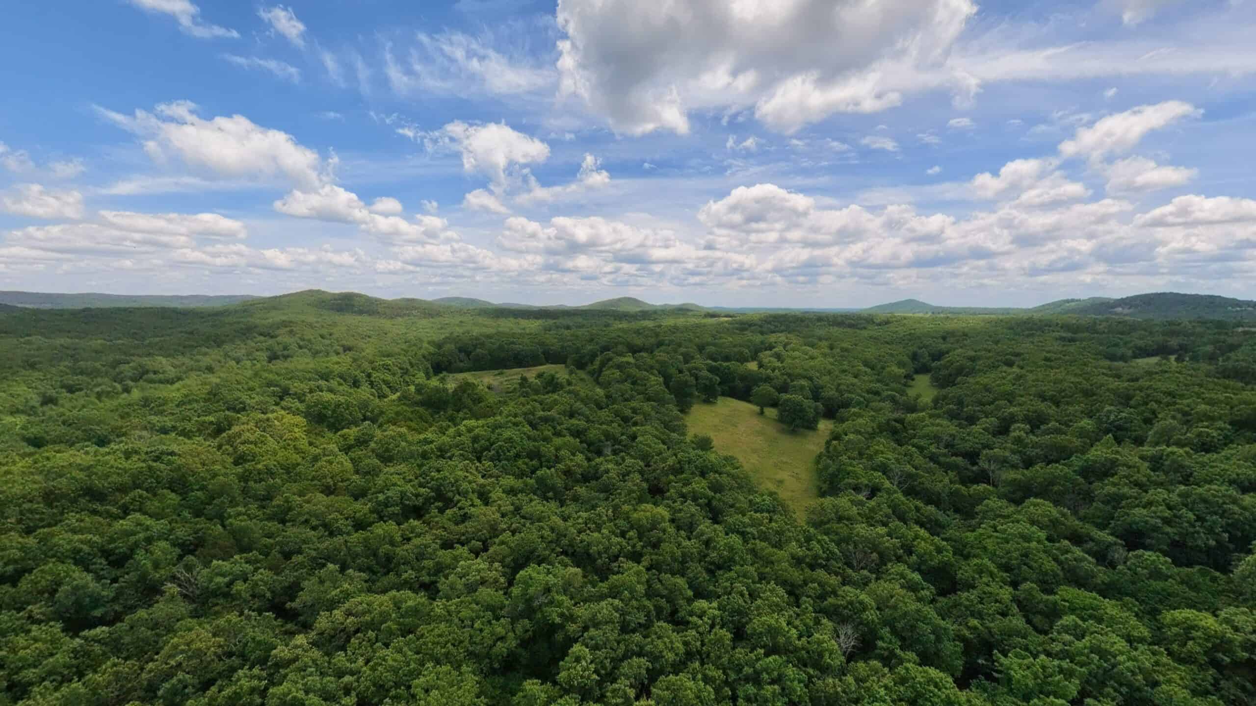 Missouri Ozarks Hunting Land Near Caney Mountain Conservation and Bull Shoals Lake