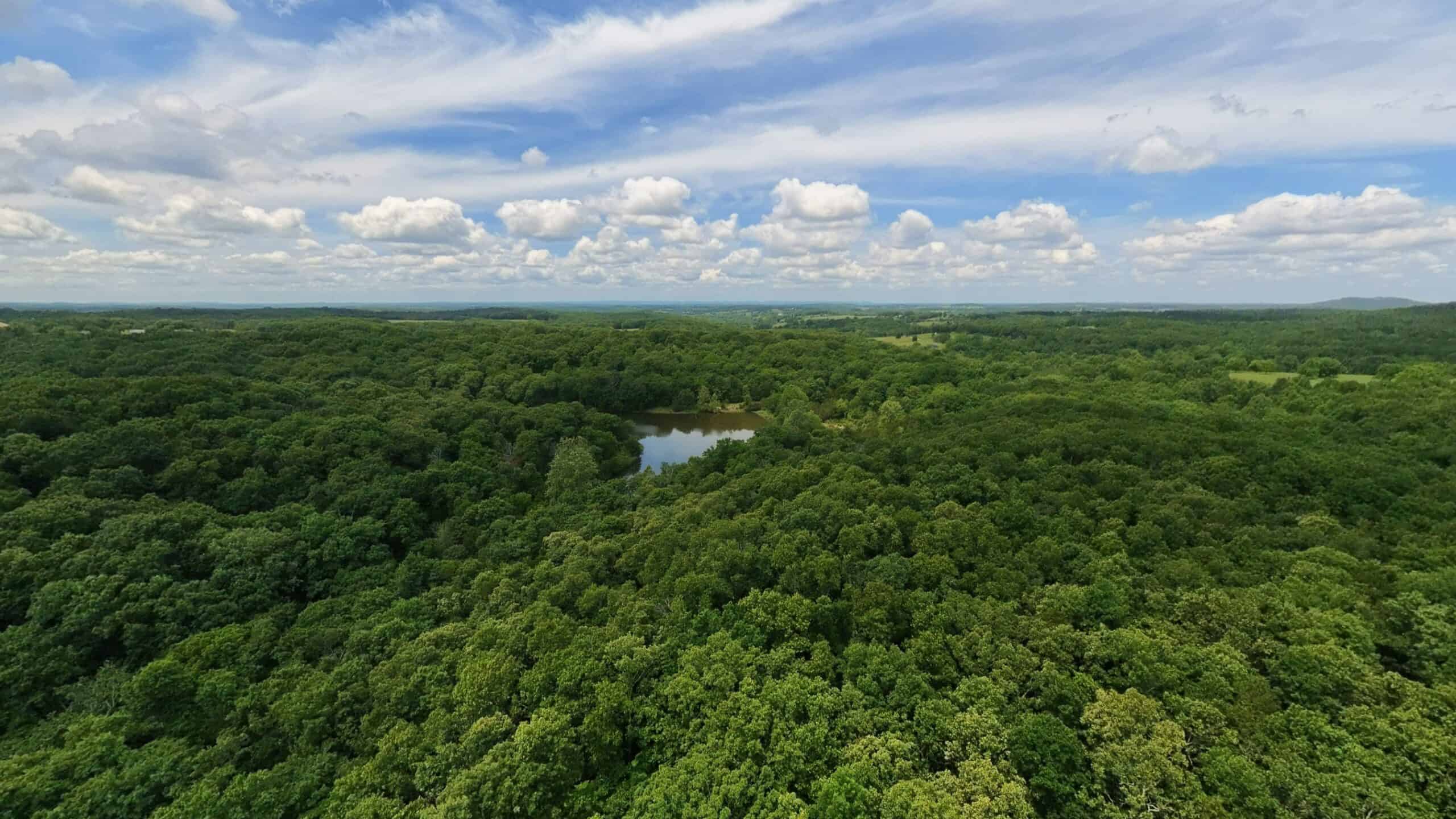 Missouri Ozarks Hunting Land Near Caney Mountain Conservation and Bull Shoals Lake