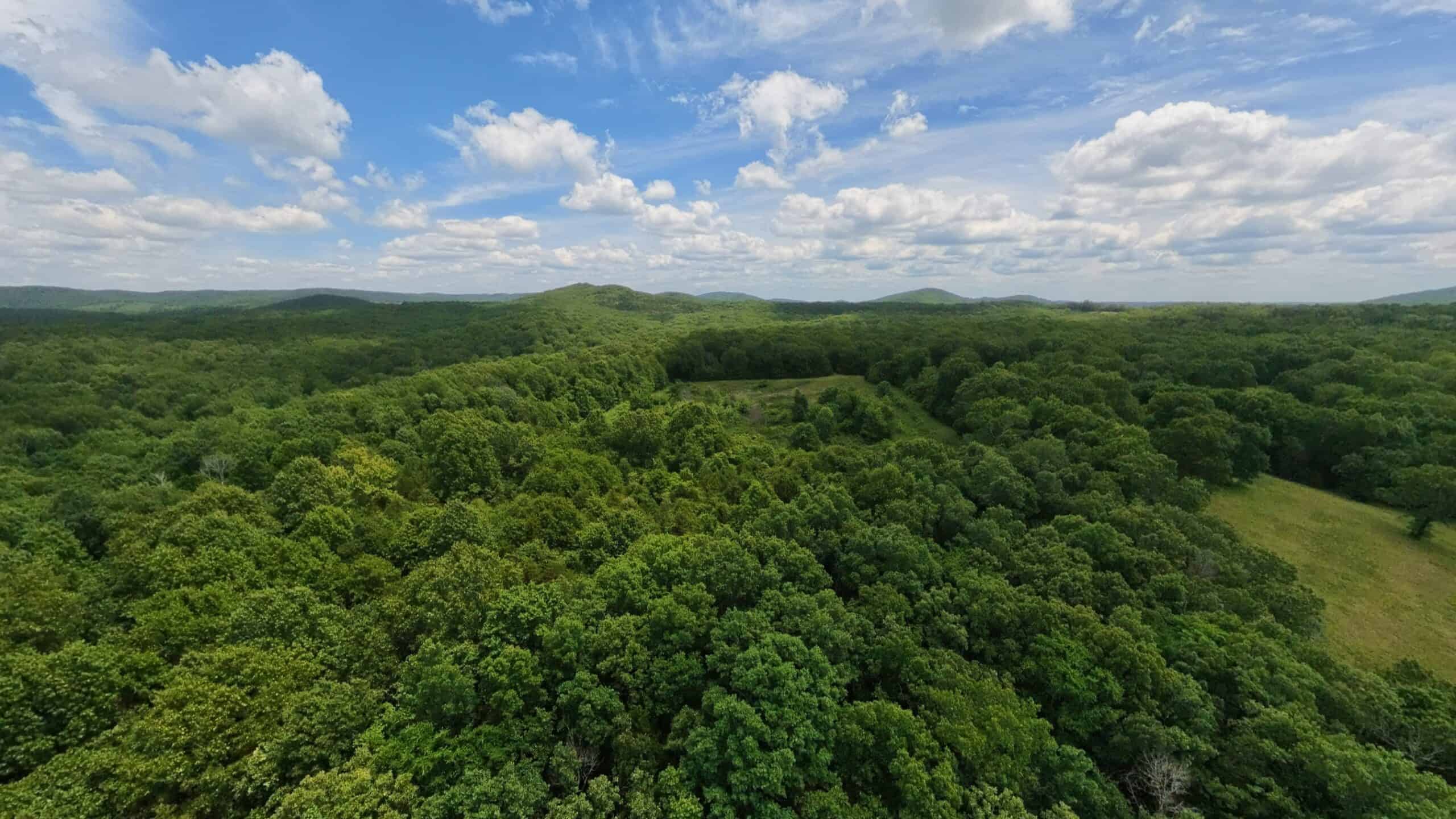 Missouri Ozarks Hunting Land Near Caney Mountain Conservation and Bull Shoals Lake