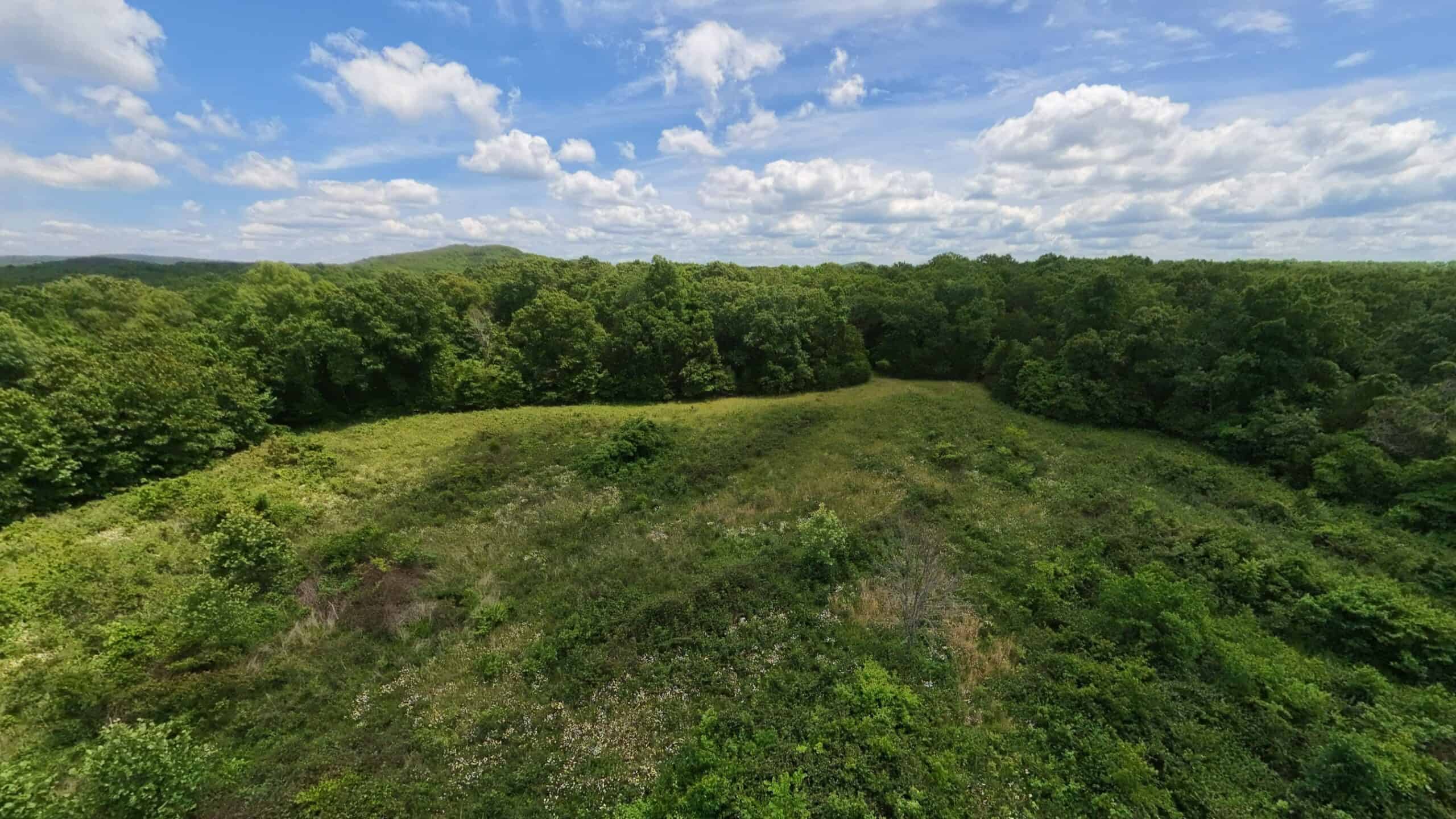 Missouri Ozarks Hunting Land Near Caney Mountain Conservation and Bull Shoals Lake