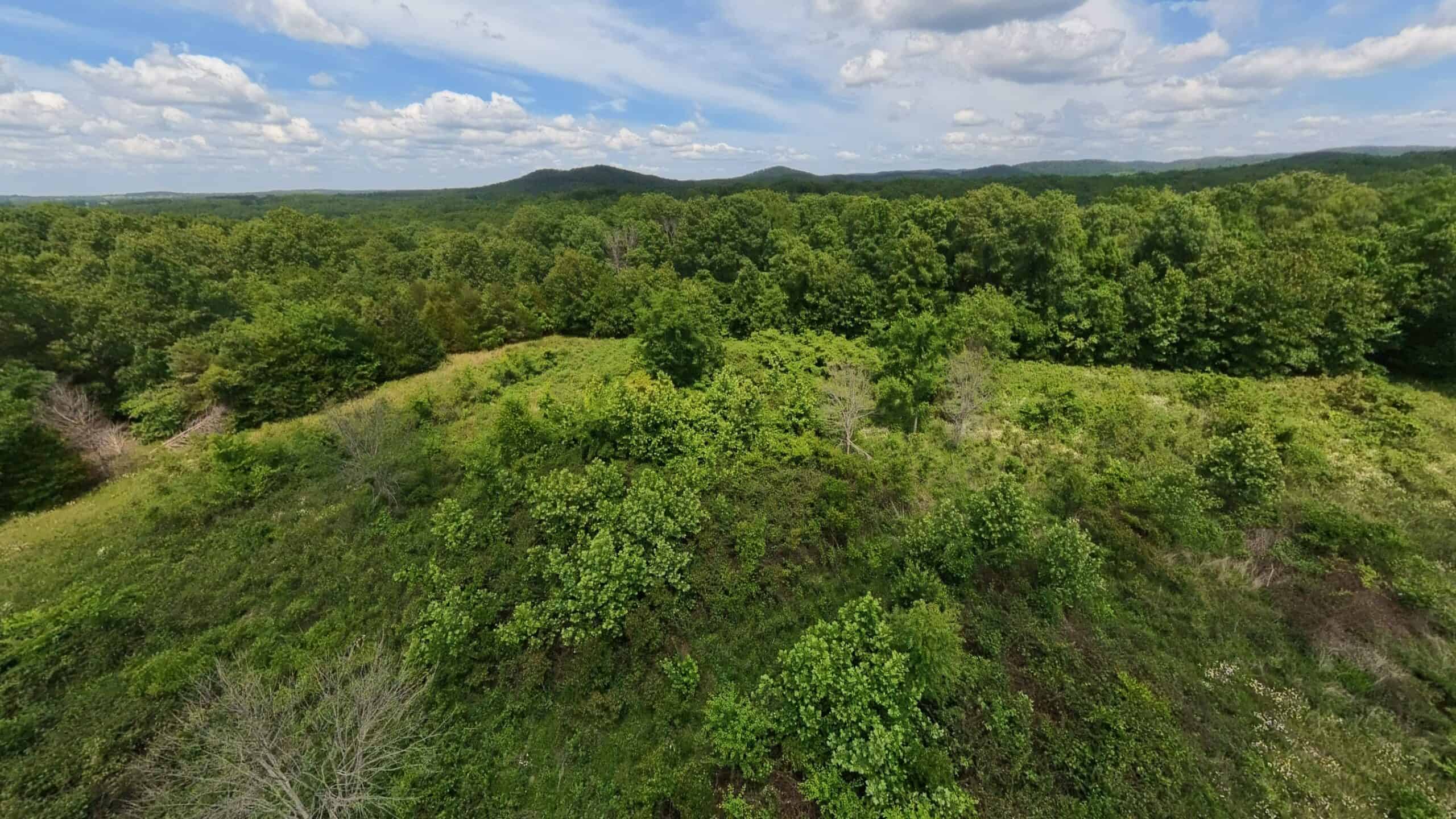 Missouri Ozarks Hunting Land Near Caney Mountain Conservation and Bull Shoals Lake