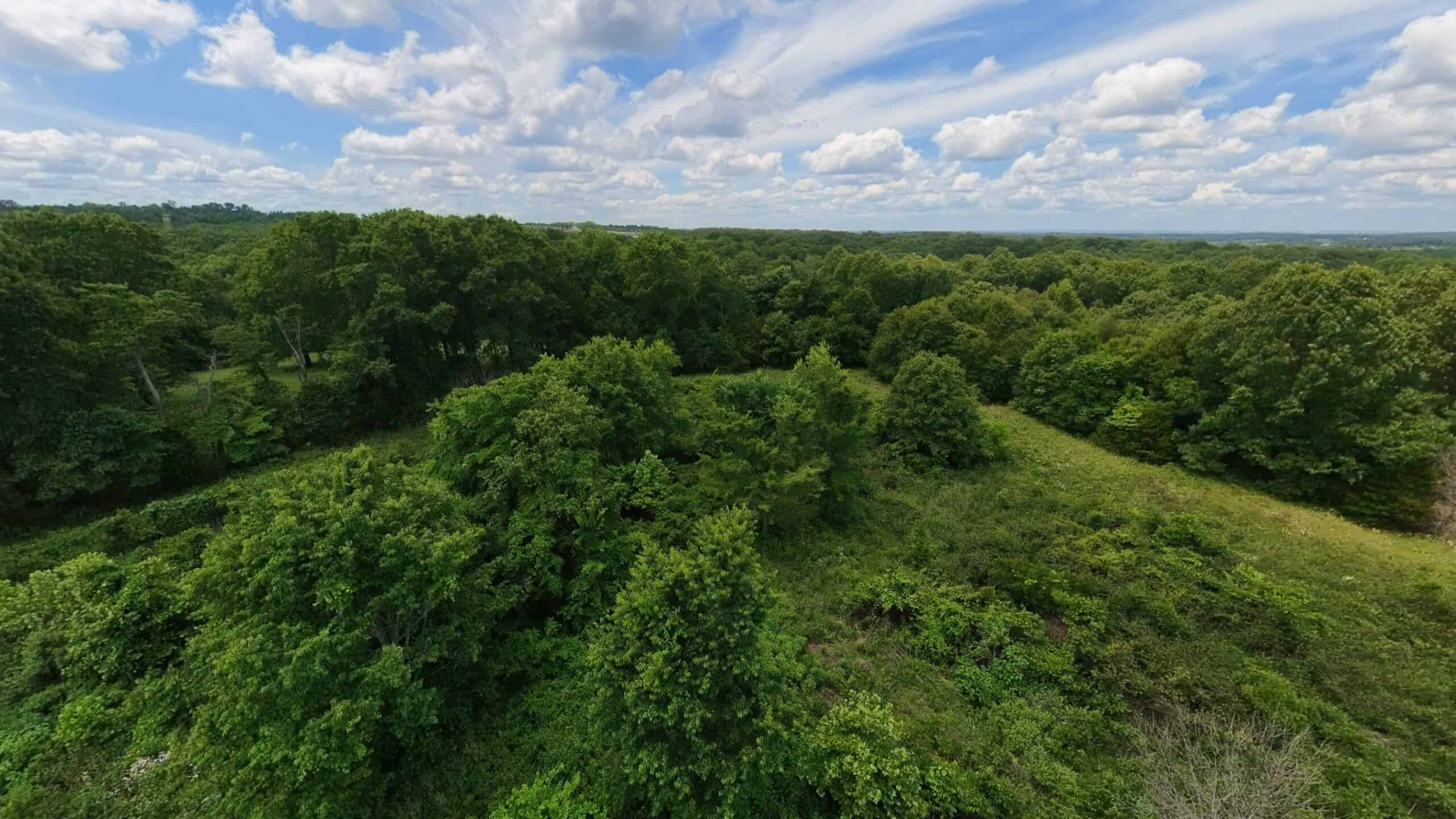 Missouri Ozarks Hunting Land Near Caney Mountain Conservation and Bull Shoals Lake