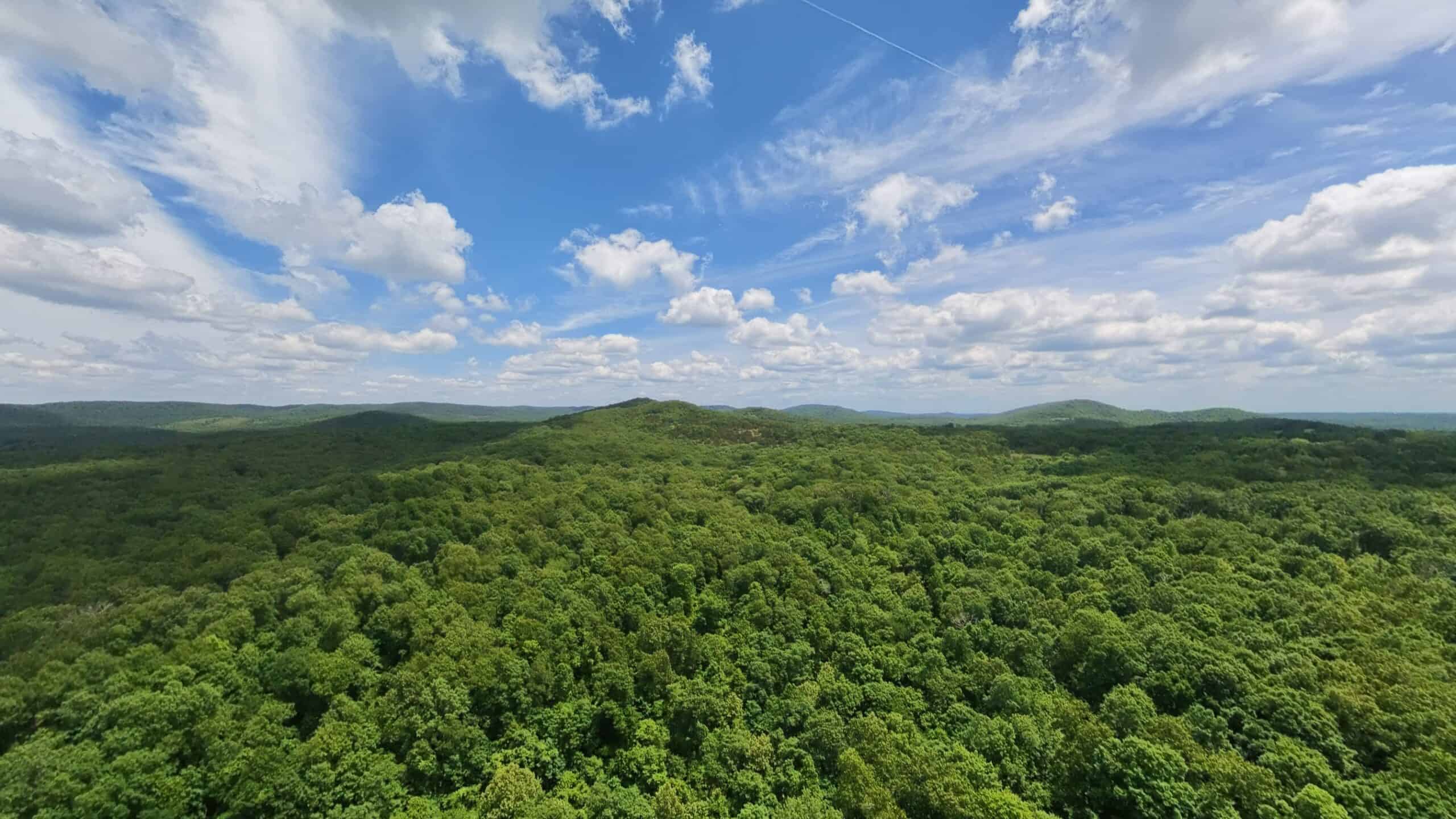 Missouri Ozarks Hunting Land Near Caney Mountain Conservation and Bull Shoals Lake