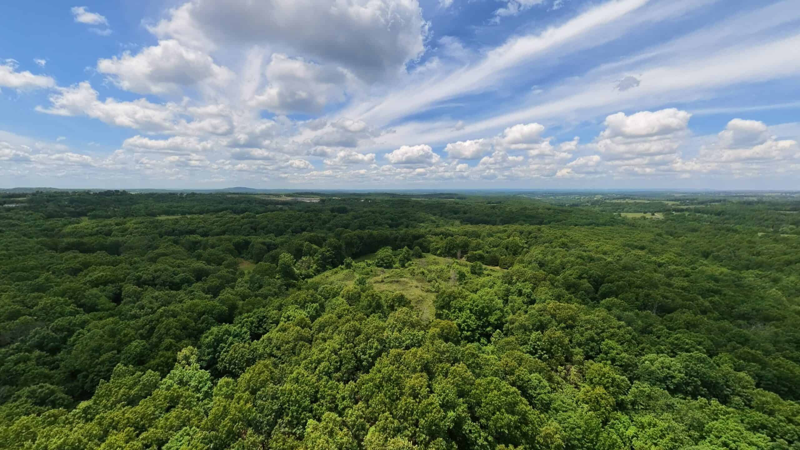 Missouri Ozarks Hunting Land Near Caney Mountain Conservation and Bull Shoals Lake