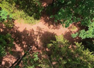 Missouri Ozarks Hunting Land Near Caney Mountain Conservation and Bull Shoals Lake