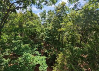 Missouri Ozarks Hunting Land Near Caney Mountain Conservation and Bull Shoals Lake