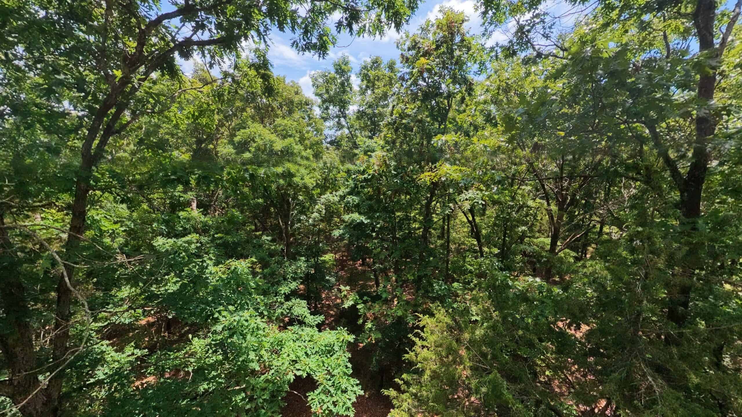 Missouri Ozarks Hunting Land Near Caney Mountain Conservation and Bull Shoals Lake
