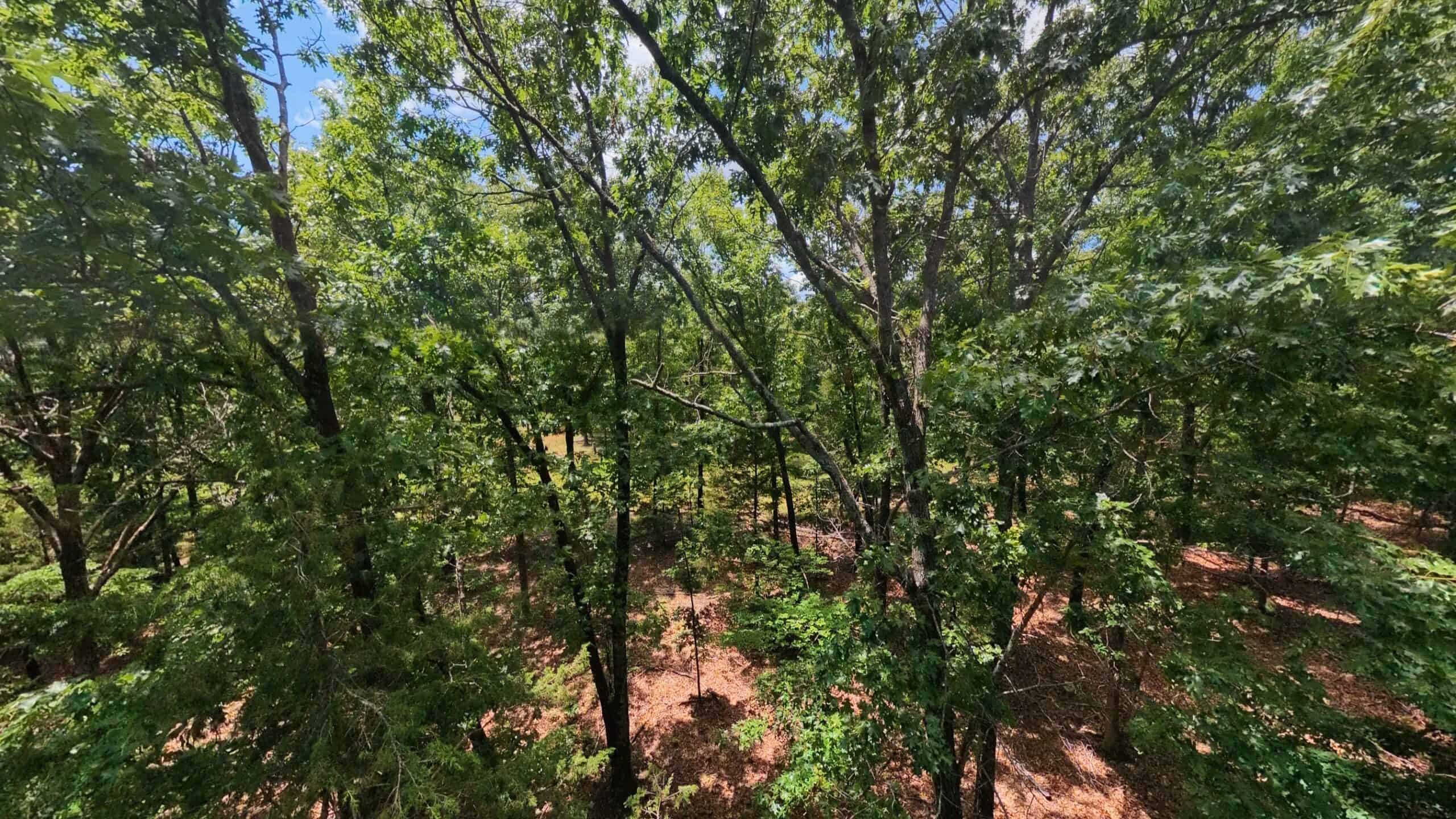Missouri Ozarks Hunting Land Near Caney Mountain Conservation and Bull Shoals Lake