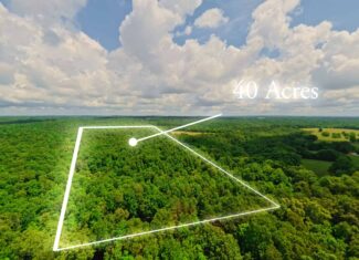 40 Acres of Hunting Land Near Mark Twain National Forest in Oregon County, Missouri