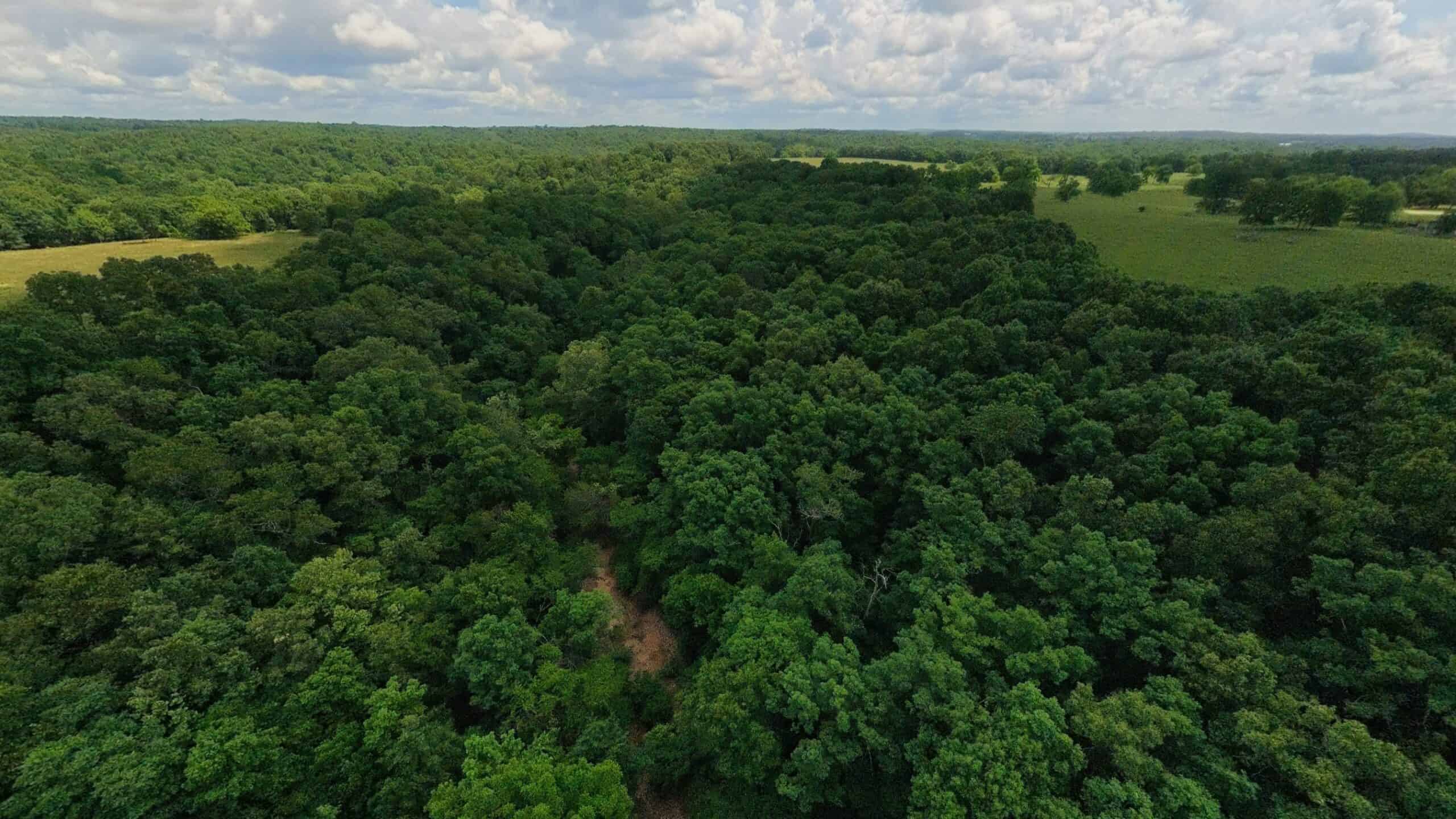 40 Acres of Hunting Land Near Mark Twain National Forest in Oregon County, Missouri