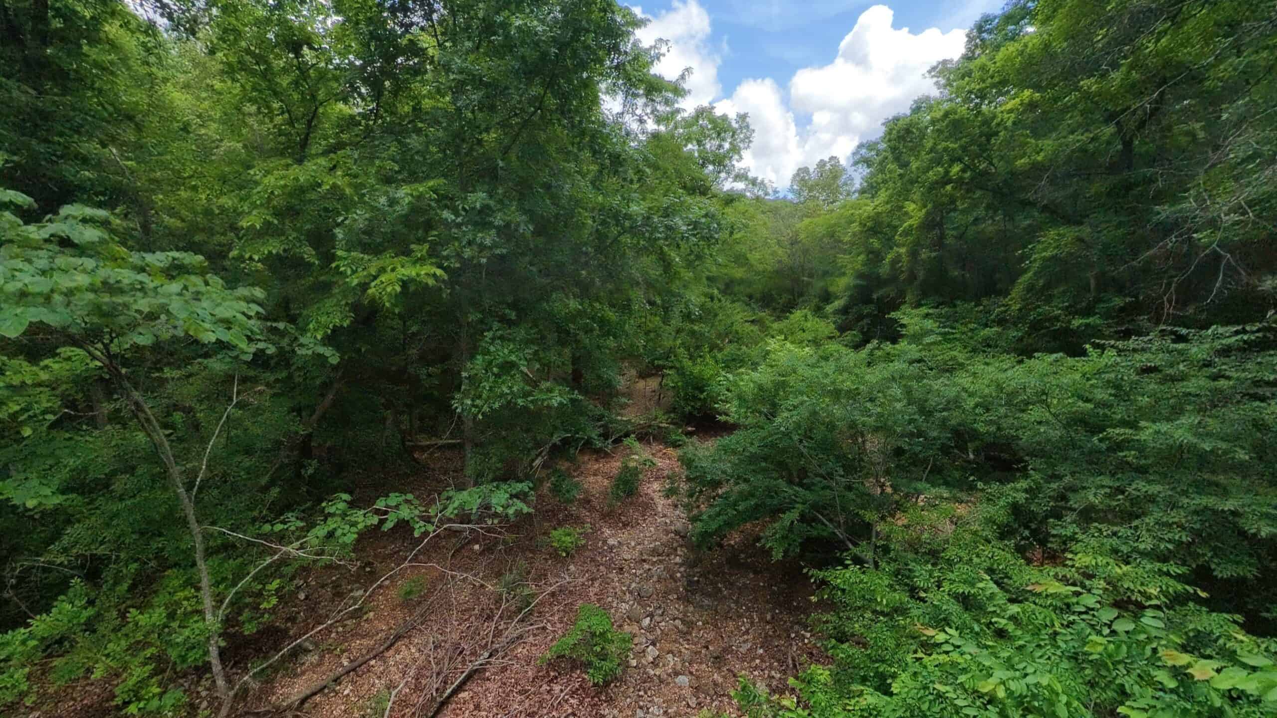 40 Acres of Hunting Land Near Mark Twain National Forest in Oregon County, Missouri