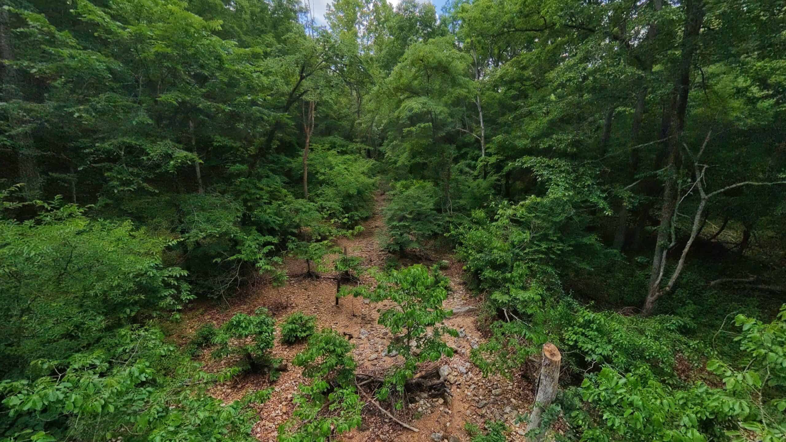 40 Acres of Hunting Land Near Mark Twain National Forest in Oregon County, Missouri