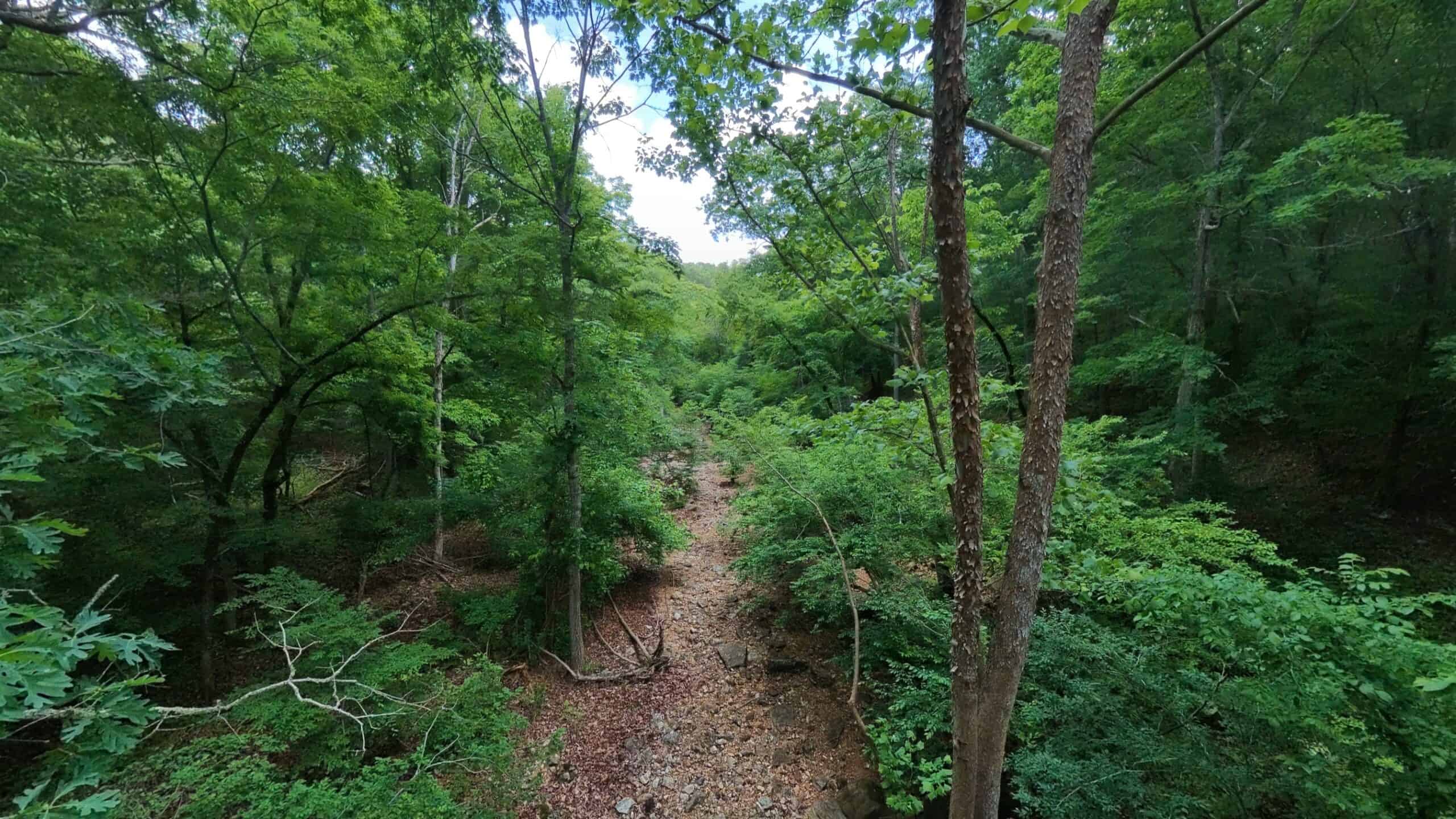 40 Acres of Hunting Land Near Mark Twain National Forest in Oregon County, Missouri