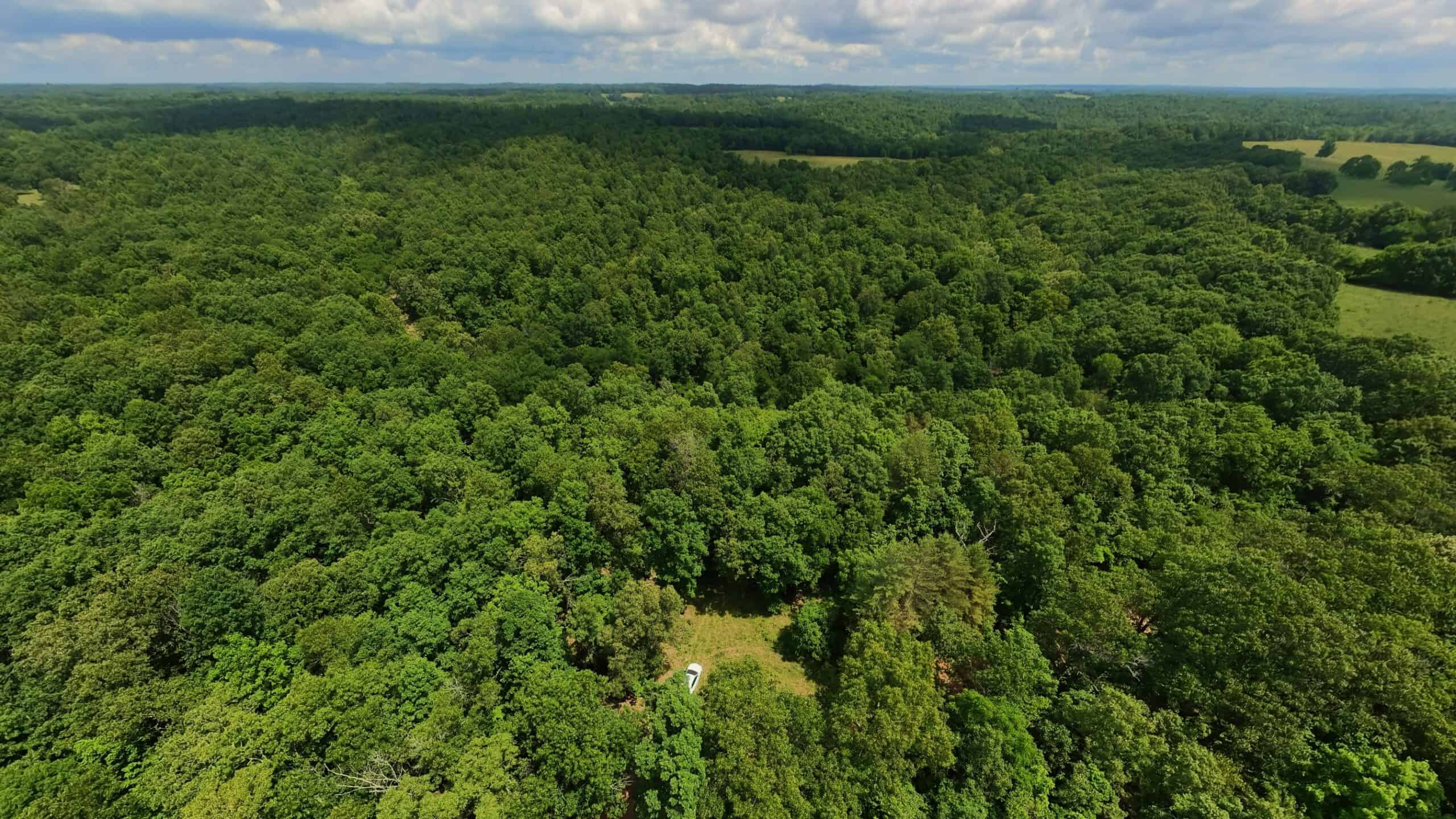 40 Acres of Hunting Land Near Mark Twain National Forest in Oregon County, Missouri