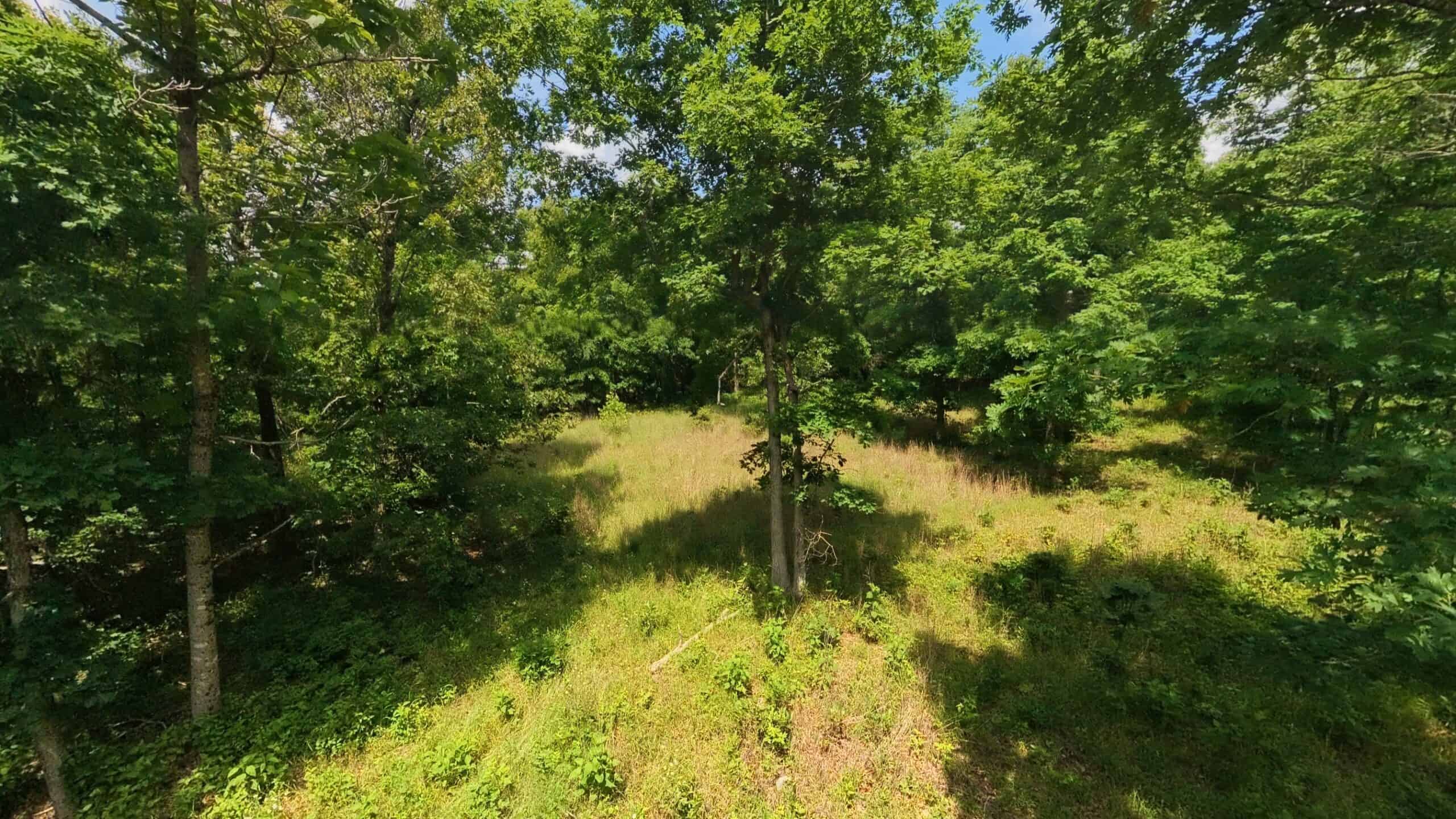 40 Acres of Hunting Land Near Mark Twain National Forest in Oregon County, Missouri