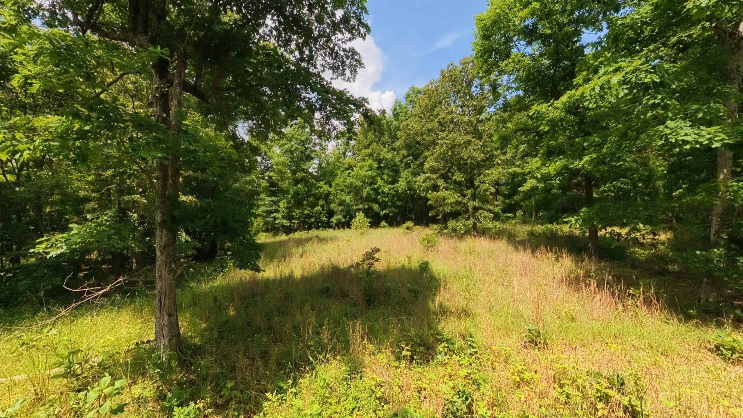 40 Acres of Hunting Land Near Mark Twain National Forest in Oregon County, Missouri