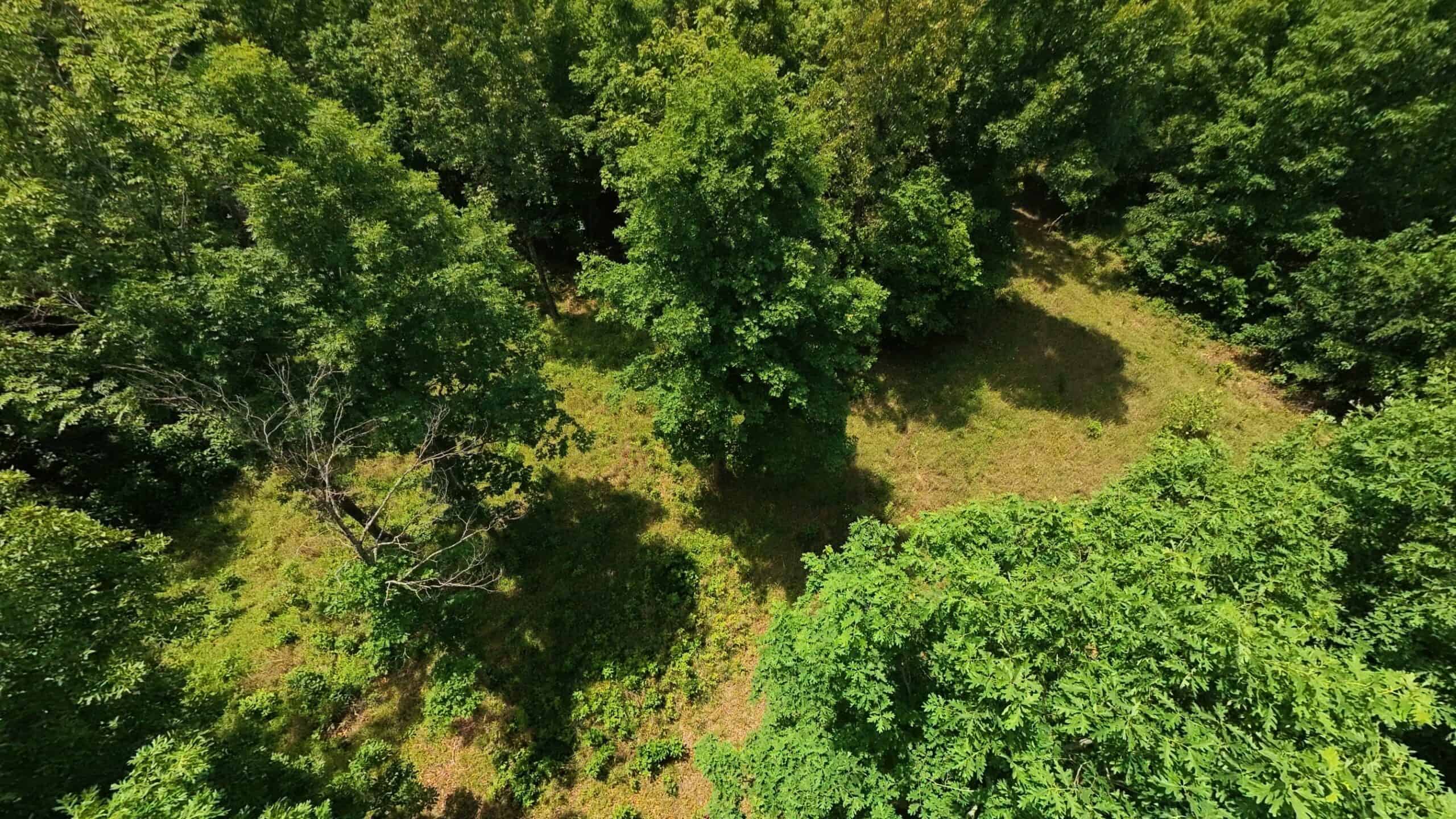 40 Acres of Hunting Land Near Mark Twain National Forest in Oregon County, Missouri