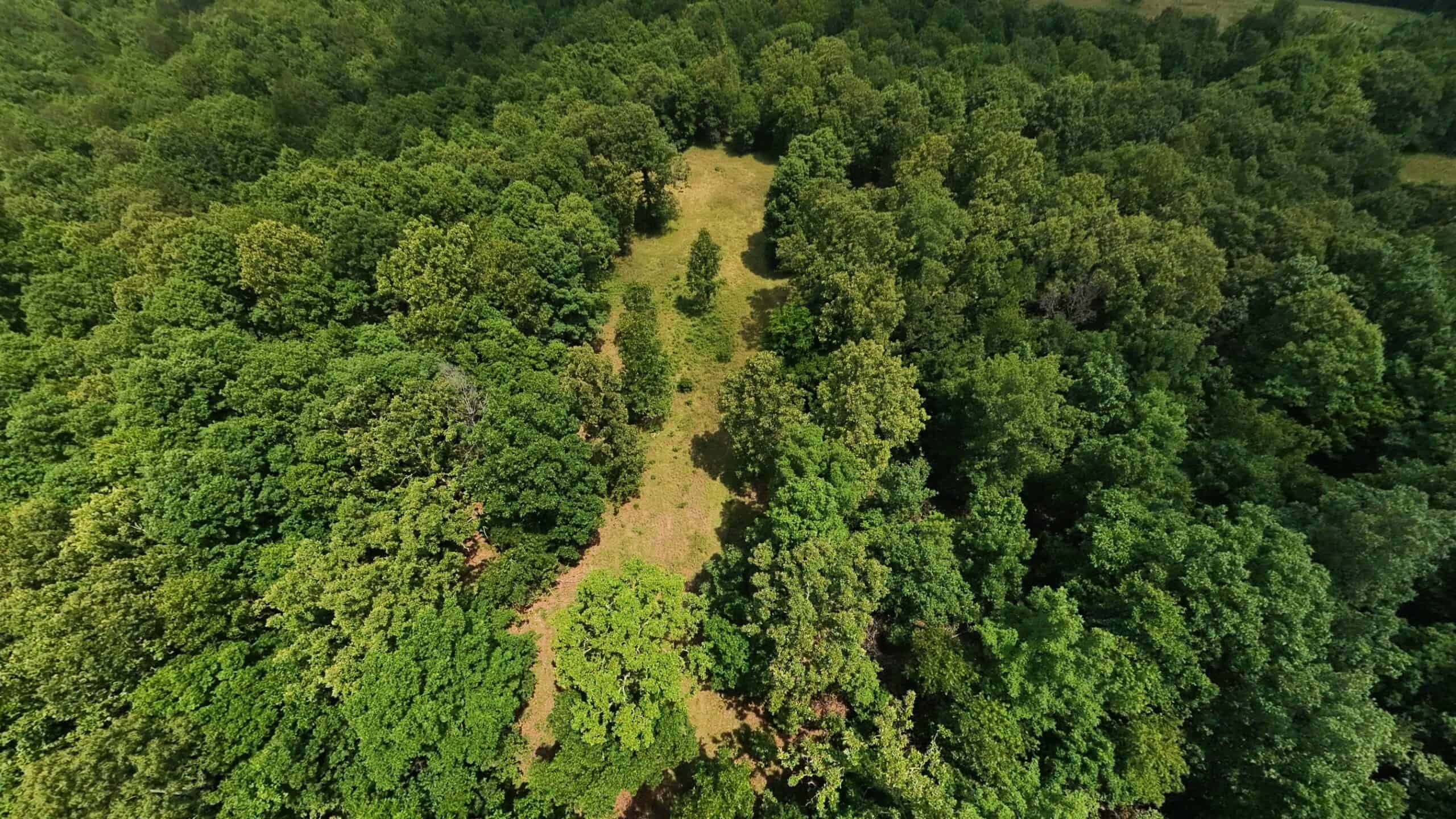 40 Acres of Hunting Land Near Mark Twain National Forest in Oregon County, Missouri