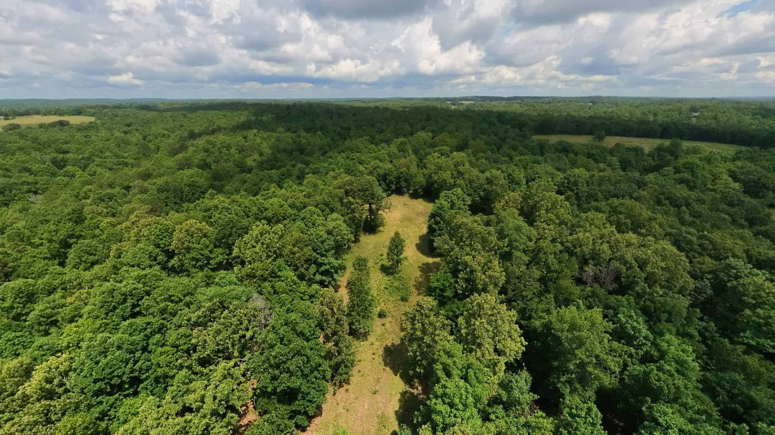 40 Acres of Hunting Land Near Mark Twain National Forest in Oregon County, Missouri