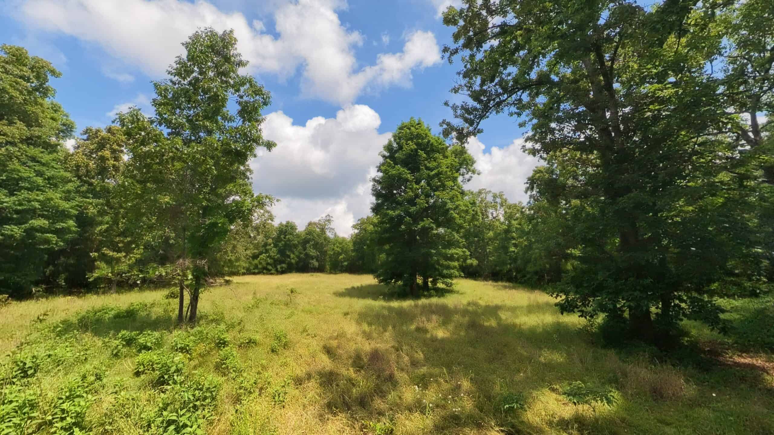 40 Acres of Hunting Land Near Mark Twain National Forest in Oregon County, Missouri