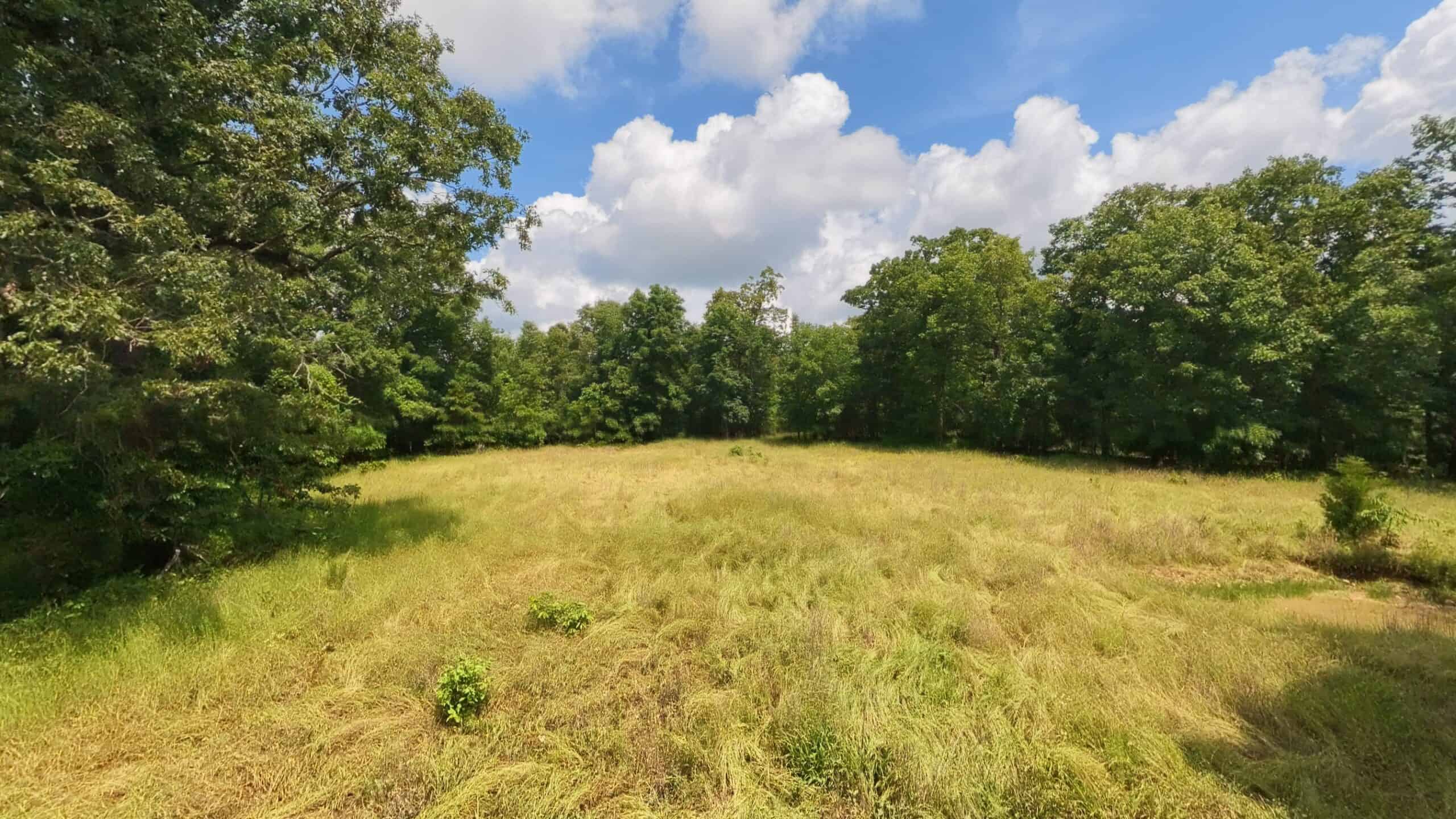 40 Acres of Hunting Land Near Mark Twain National Forest in Oregon County, Missouri
