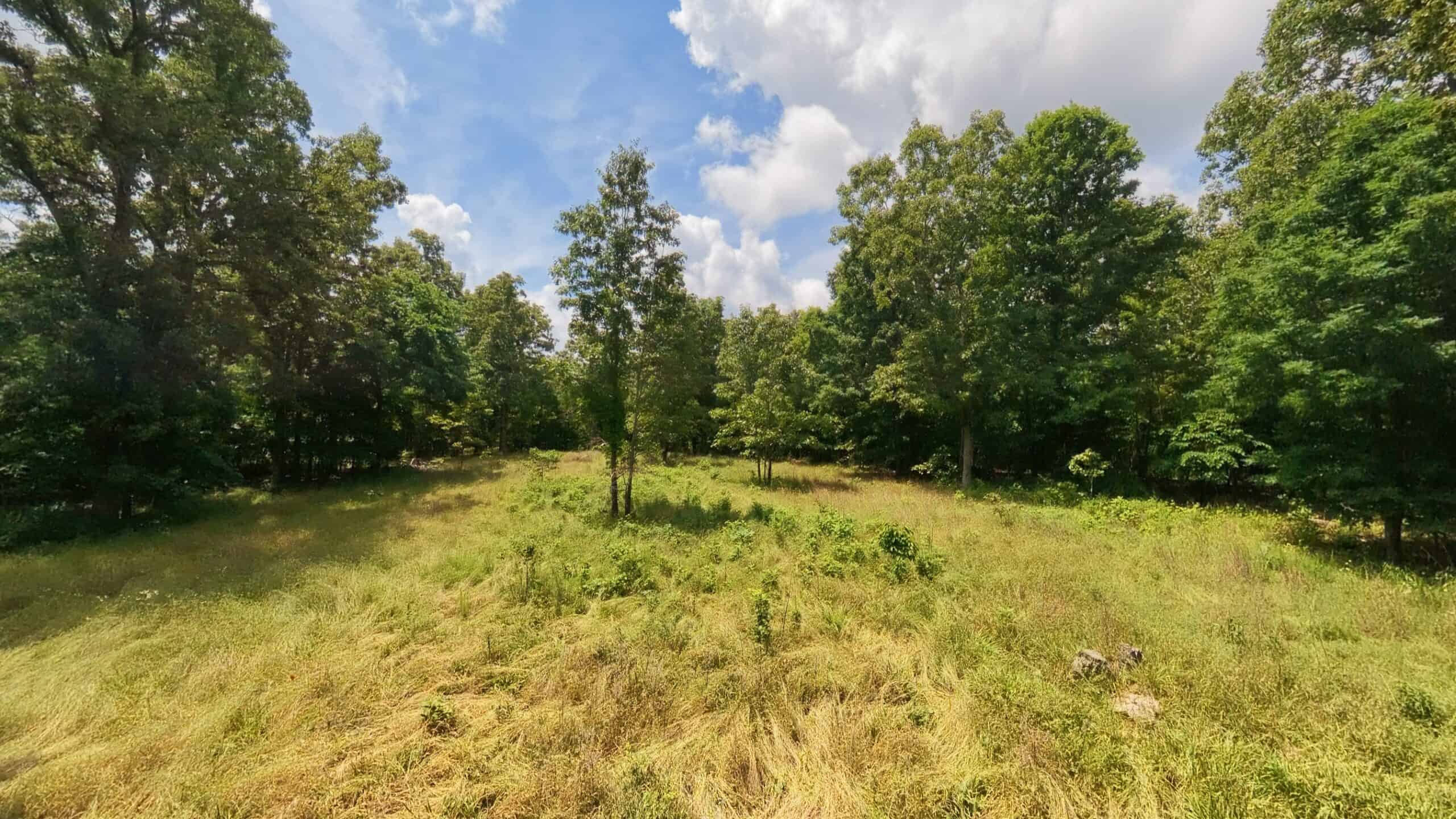 40 Acres of Hunting Land Near Mark Twain National Forest in Oregon County, Missouri