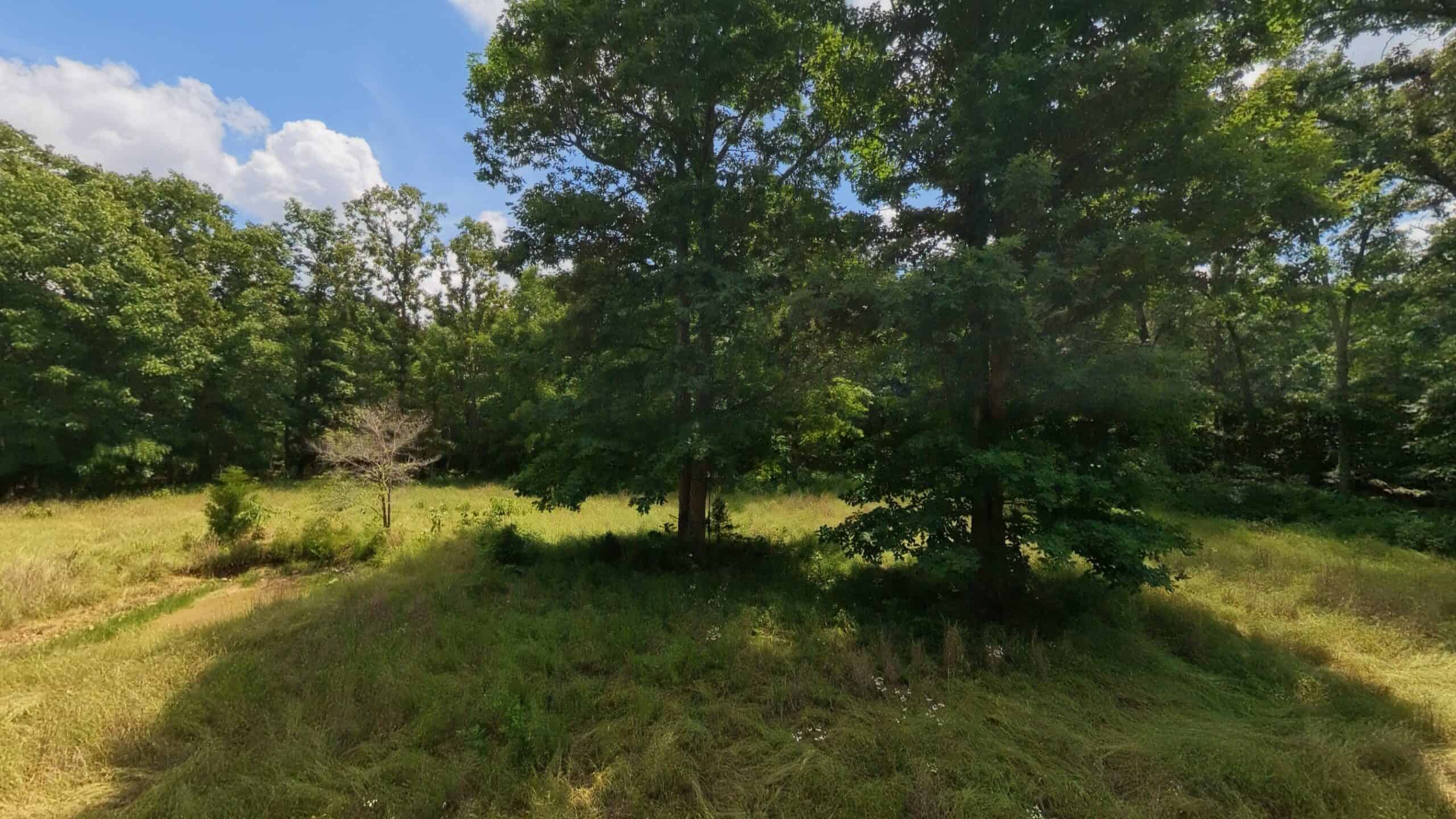 40 Acres of Hunting Land Near Mark Twain National Forest in Oregon County, Missouri