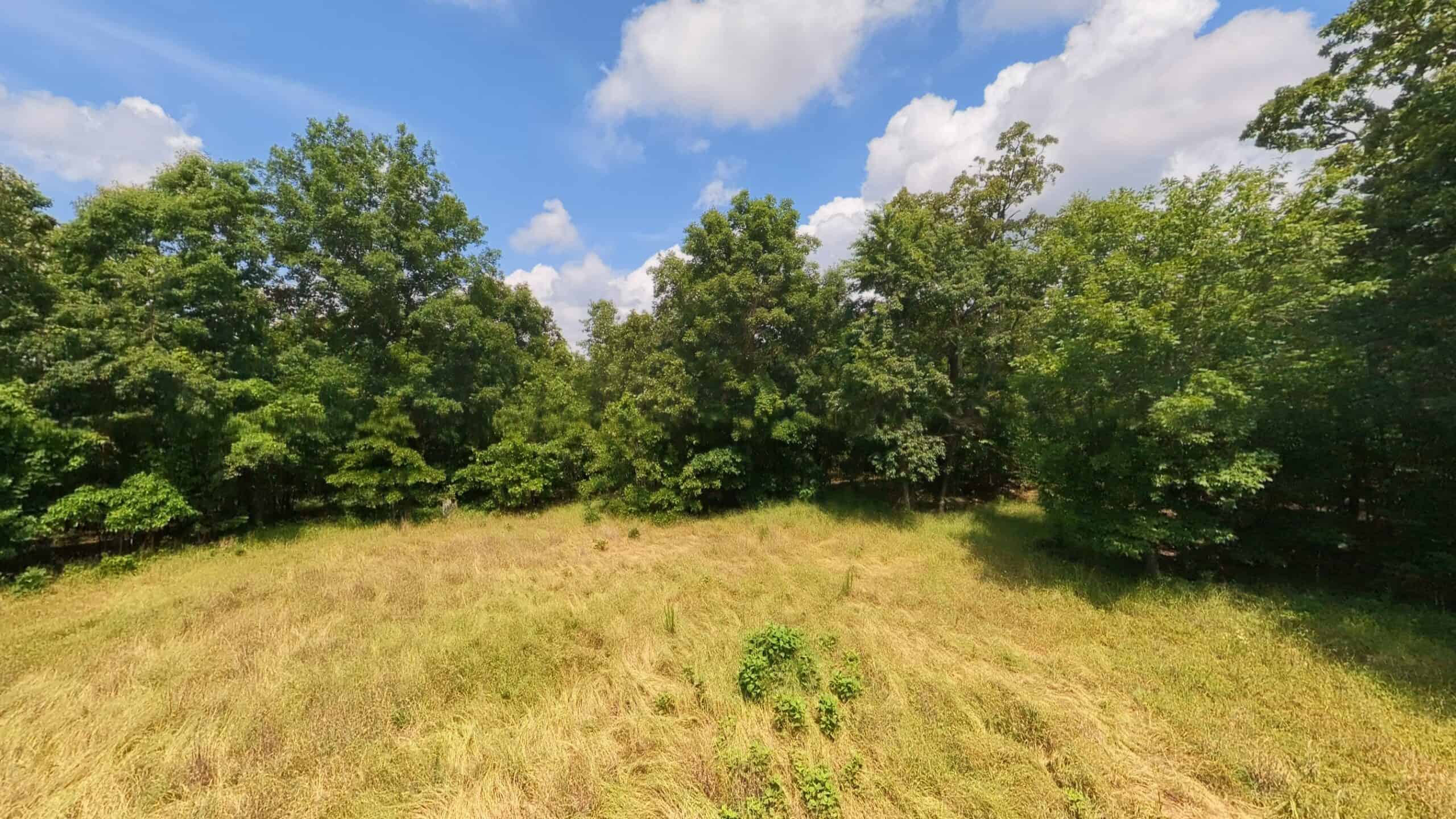 40 Acres of Hunting Land Near Mark Twain National Forest in Oregon County, Missouri