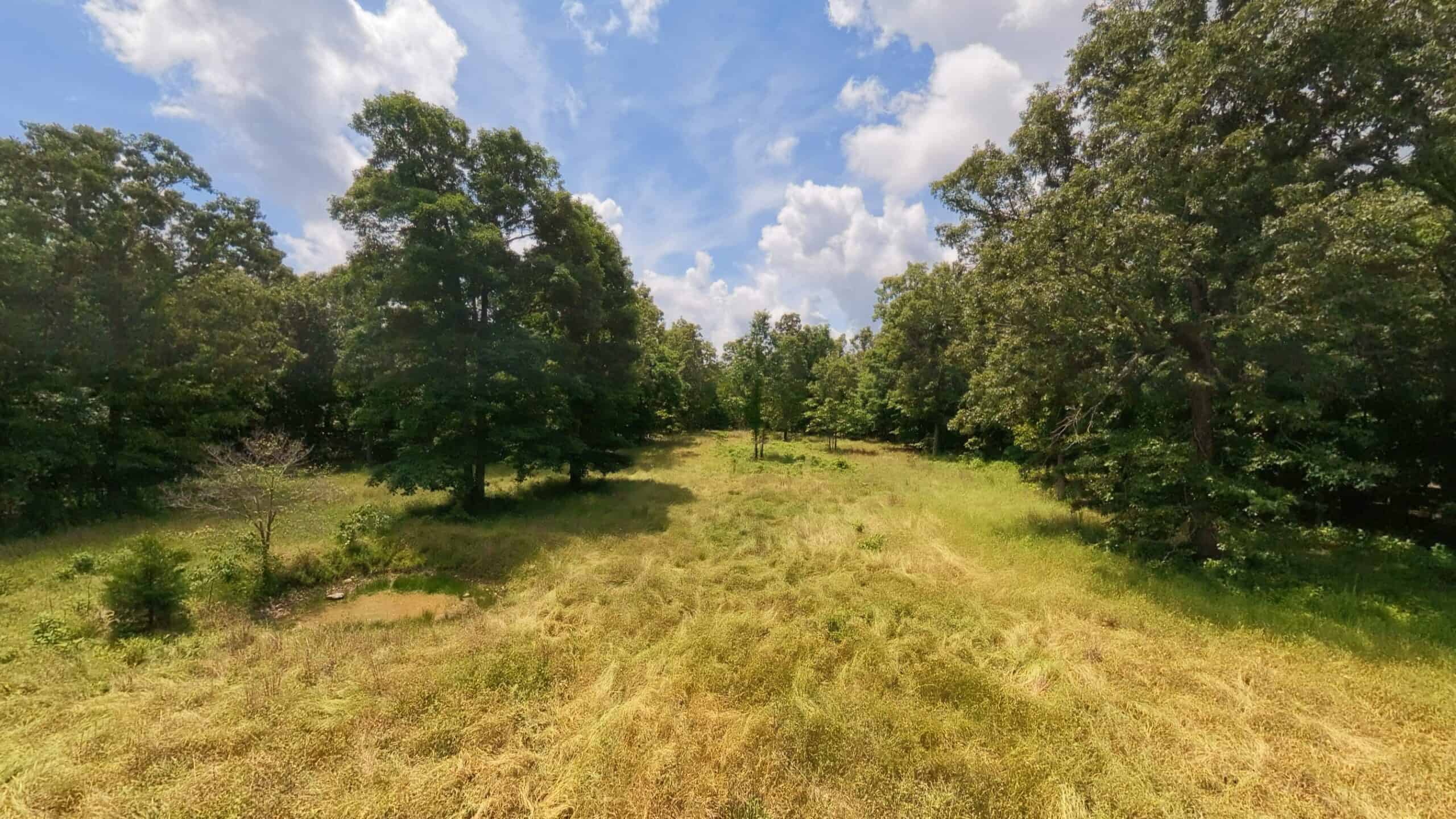 40 Acres of Hunting Land Near Mark Twain National Forest in Oregon County, Missouri