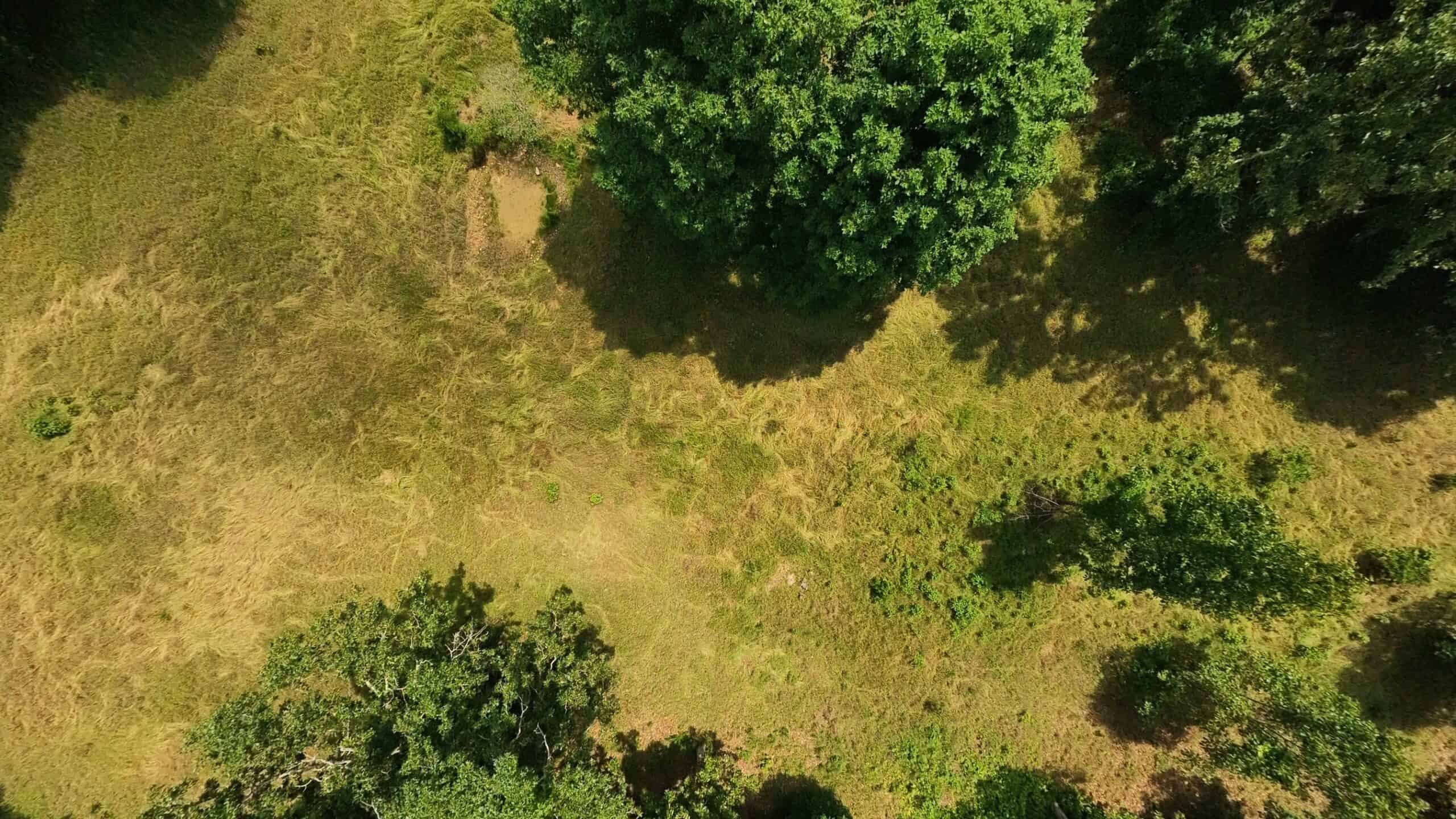 40 Acres of Hunting Land Near Mark Twain National Forest in Oregon County, Missouri