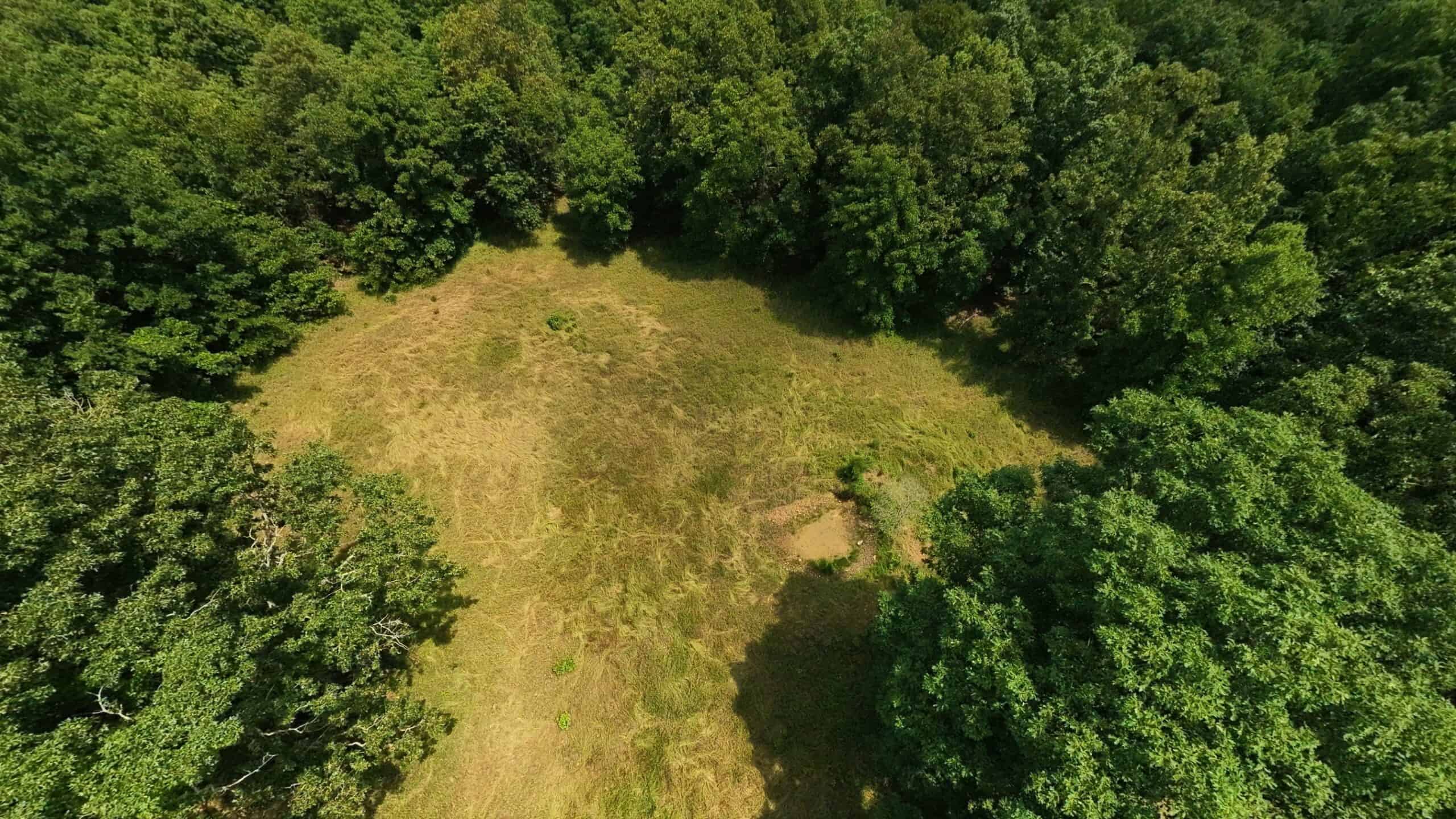 40 Acres of Hunting Land Near Mark Twain National Forest in Oregon County, Missouri