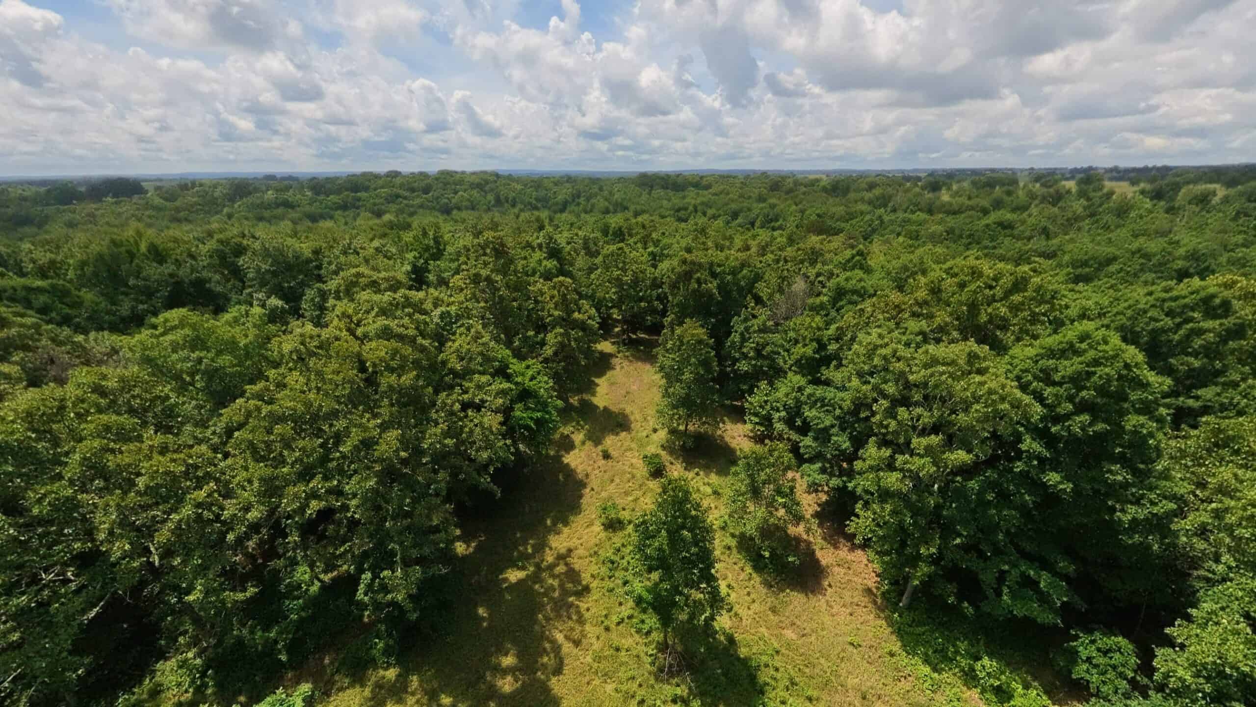 40 Acres of Hunting Land Near Mark Twain National Forest in Oregon County, Missouri