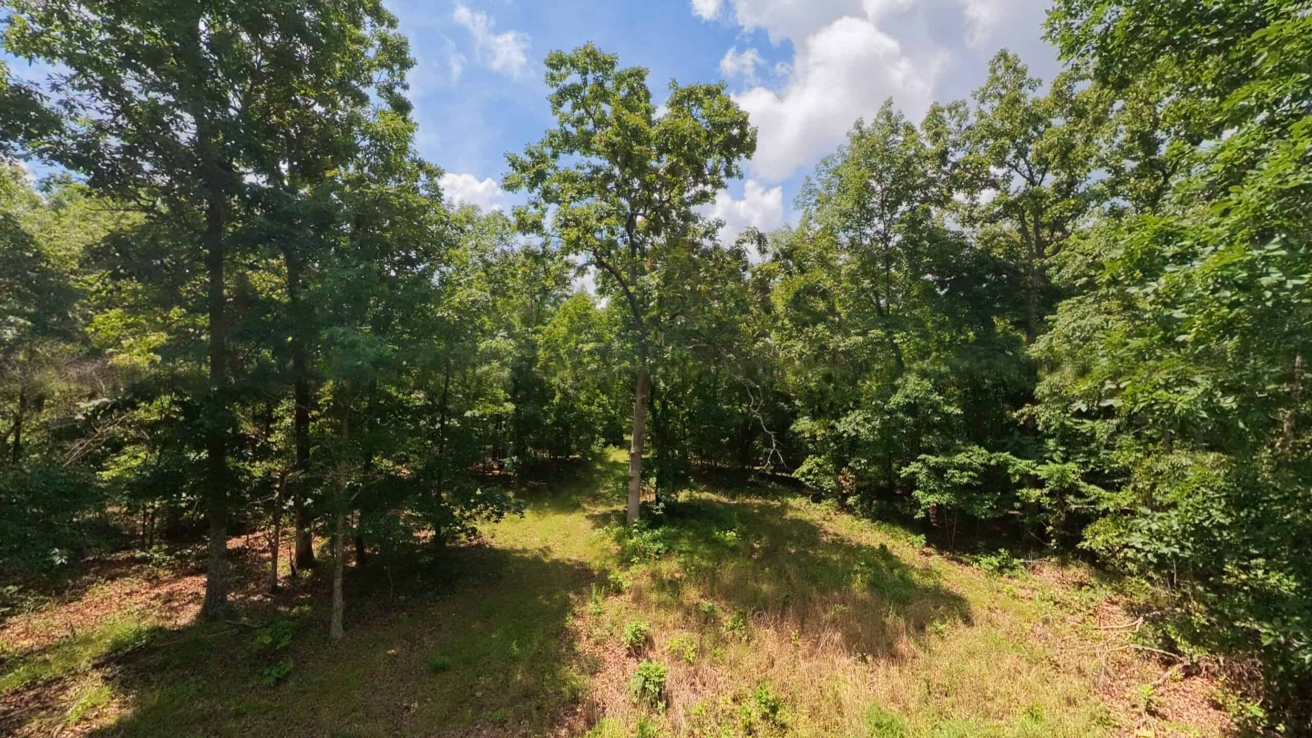40 Acres of Hunting Land Near Mark Twain National Forest in Oregon County, Missouri