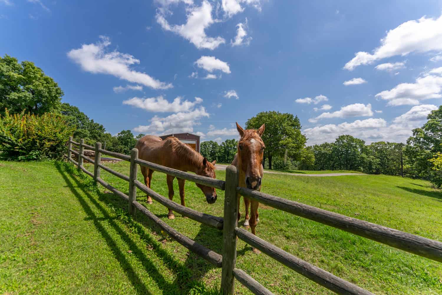 88-Acre Horse Farm with Custom Ranch Home, Stables, Ponds & Private Gated Drive