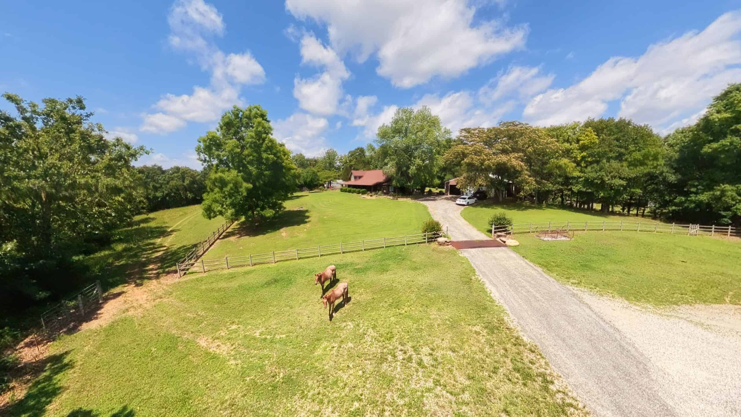 88-Acre Horse Farm with Custom Ranch Home, Stables, Ponds & Private Gated Drive