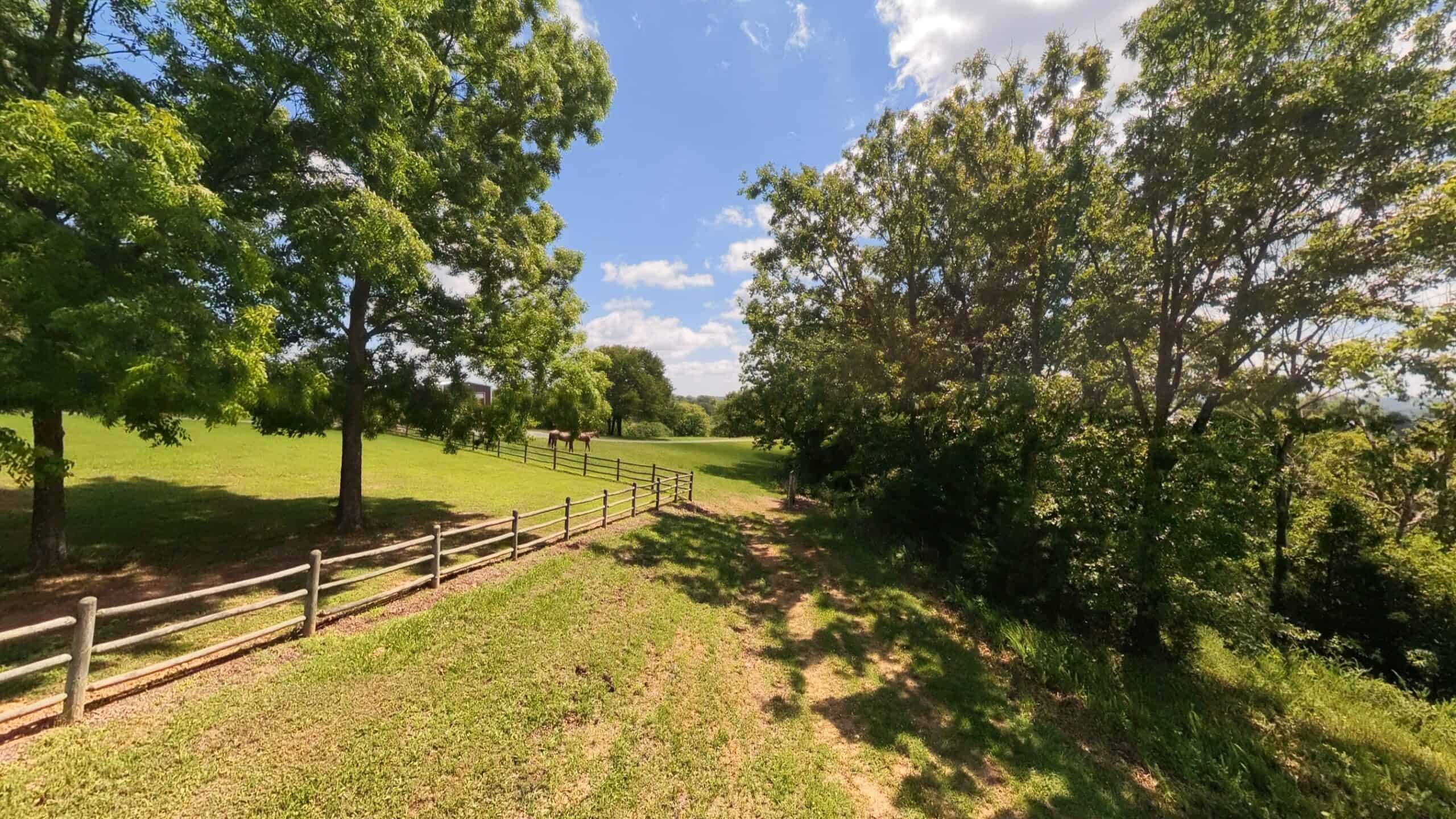 88-Acre Horse Farm with Custom Ranch Home, Stables, Ponds & Private Gated Drive