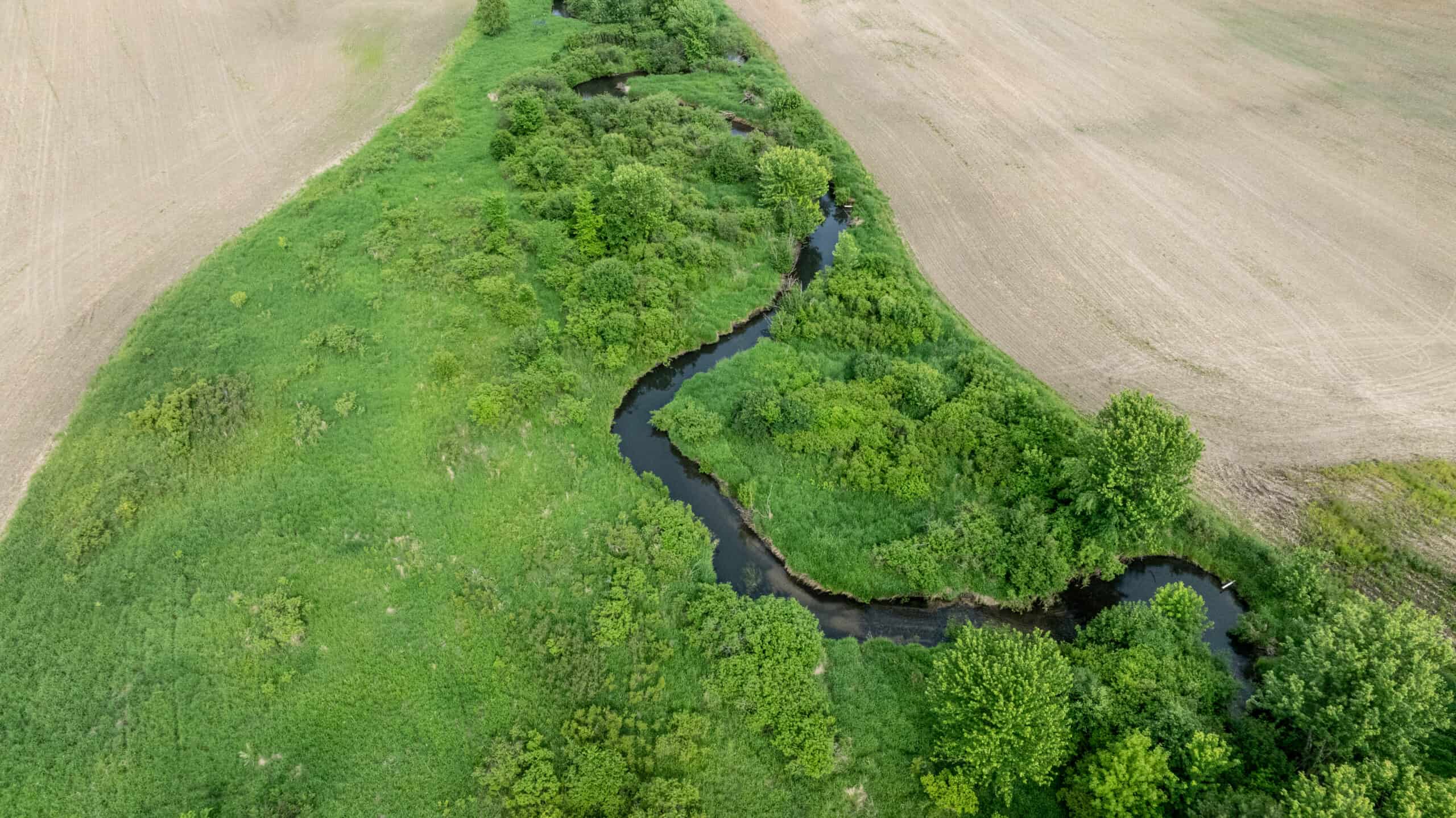 Online Auction 125± Acres of Farmland, Recreation & Investment Property