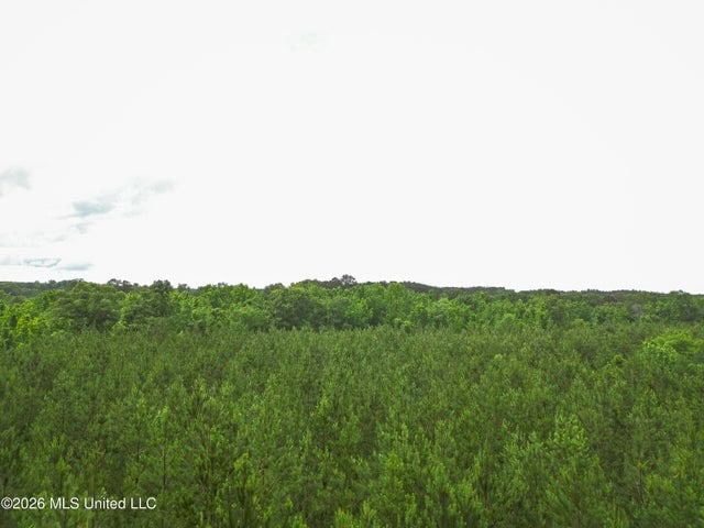 Land for Sale in Brookhaven, MS