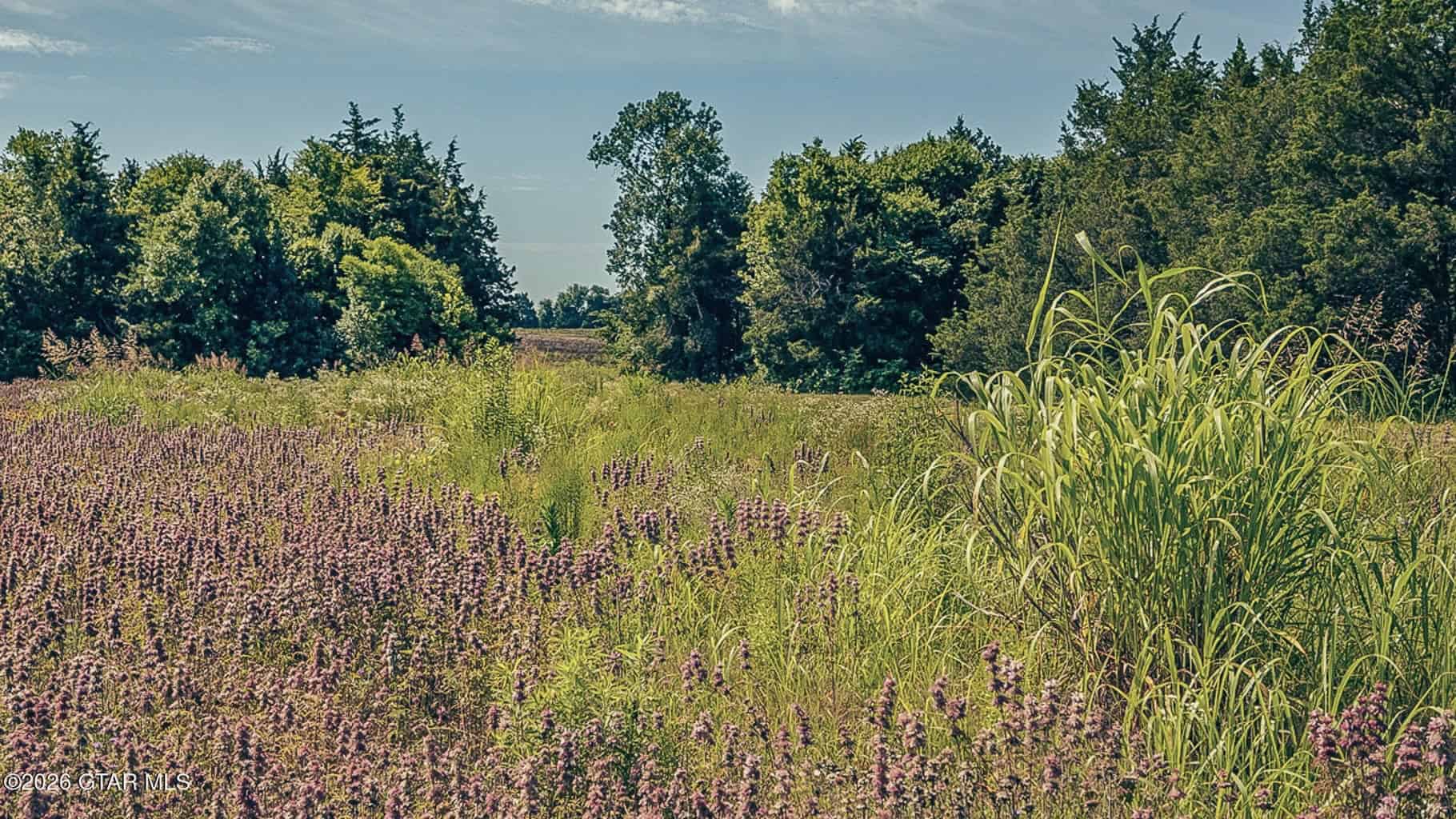 527 Acres Black Belt Prairie Clay County MS