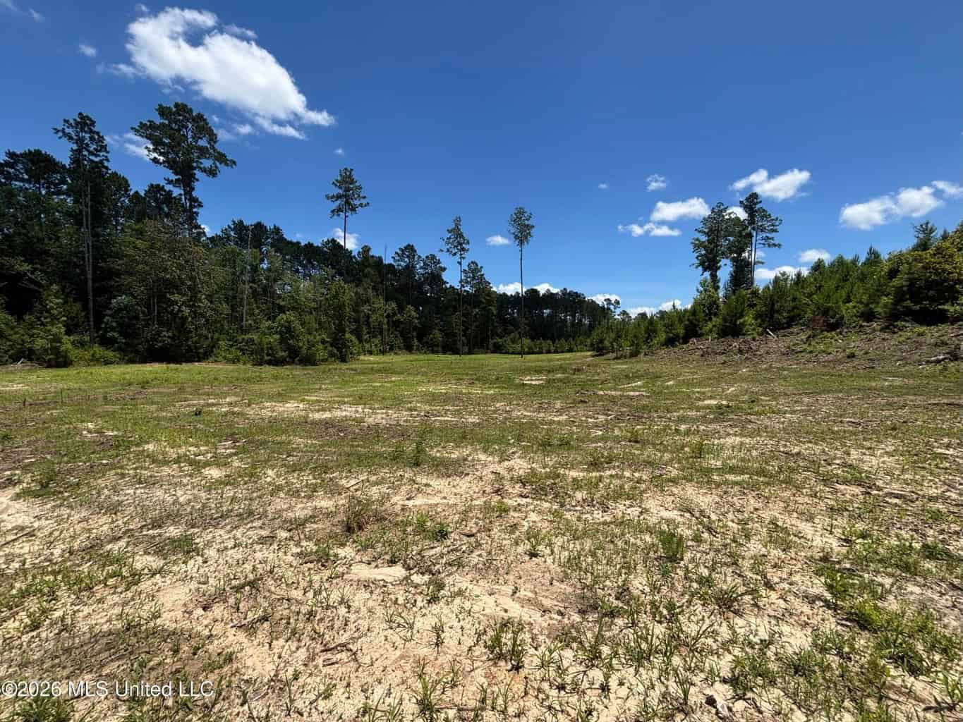 Wilkinson County MS Hunting Land for Sale