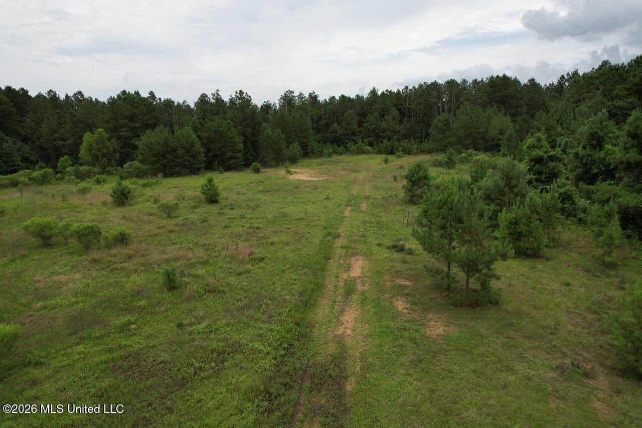 Crosby, MS Hunting Land by Homochitto National Forest