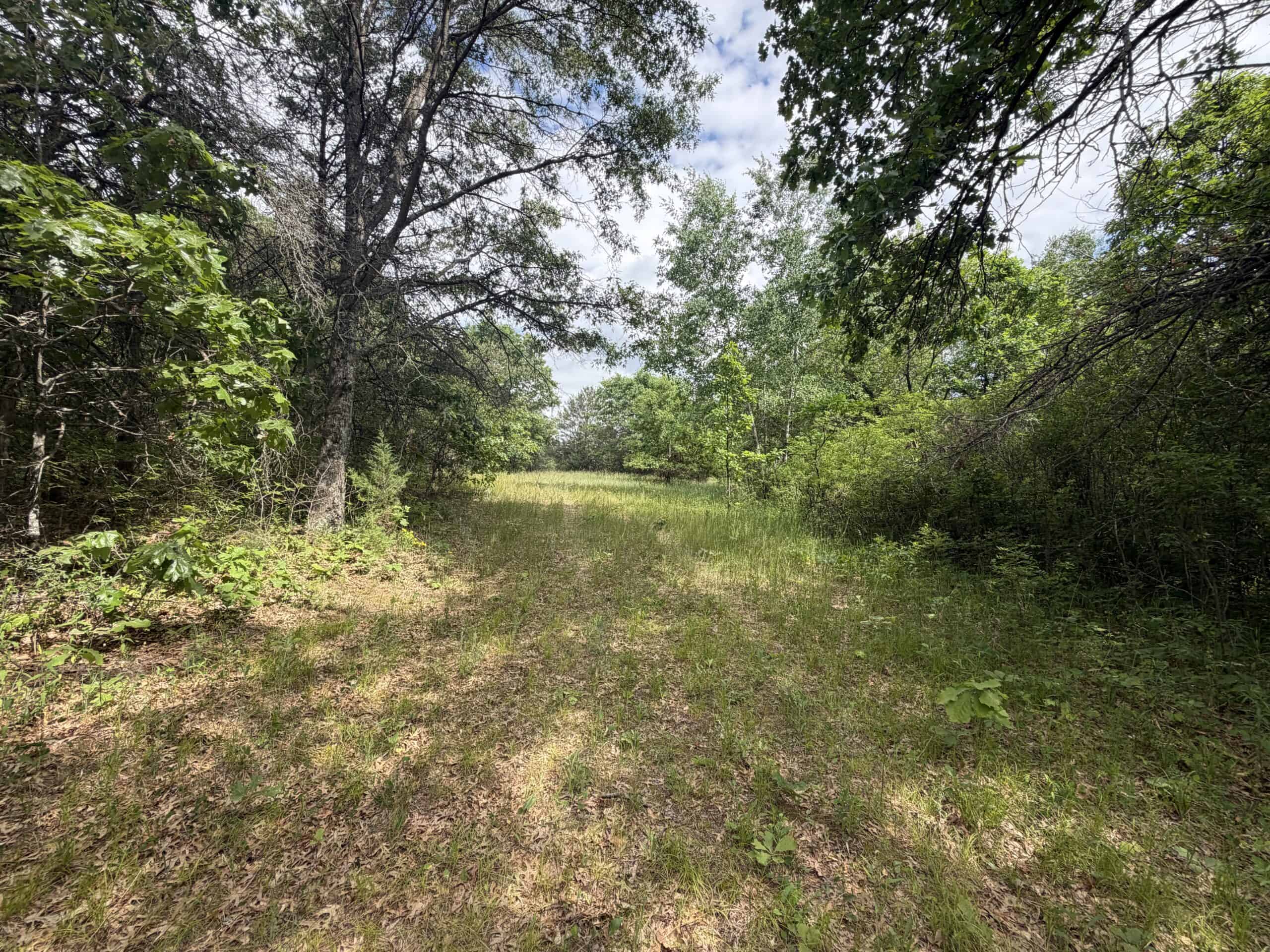 Forty acres in Adams County located in the Town of Strongs Prairie
